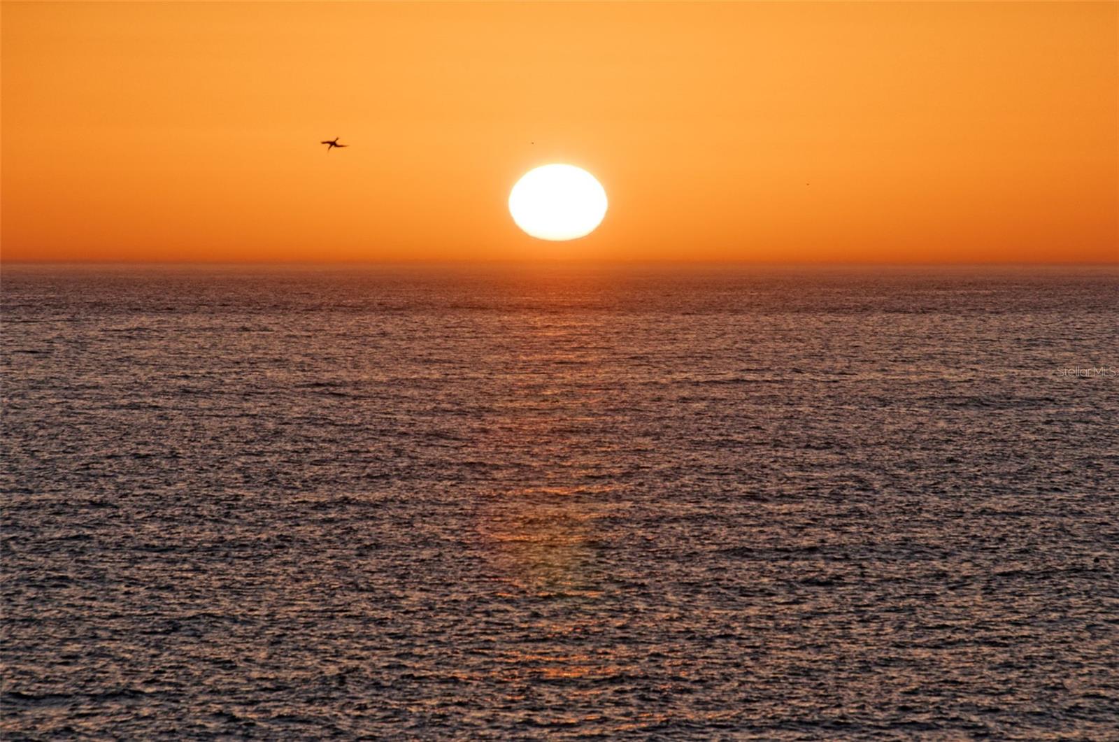 13000 GULF BLVD #109, MADEIRA BEACH, FL, 33708