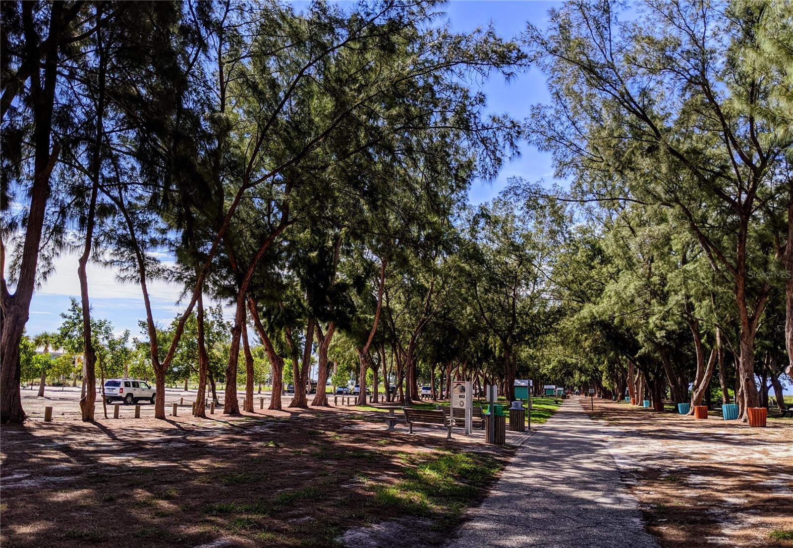 3660 LAKE BAYSHORE DR #K-321, BRADENTON, FL, 34205