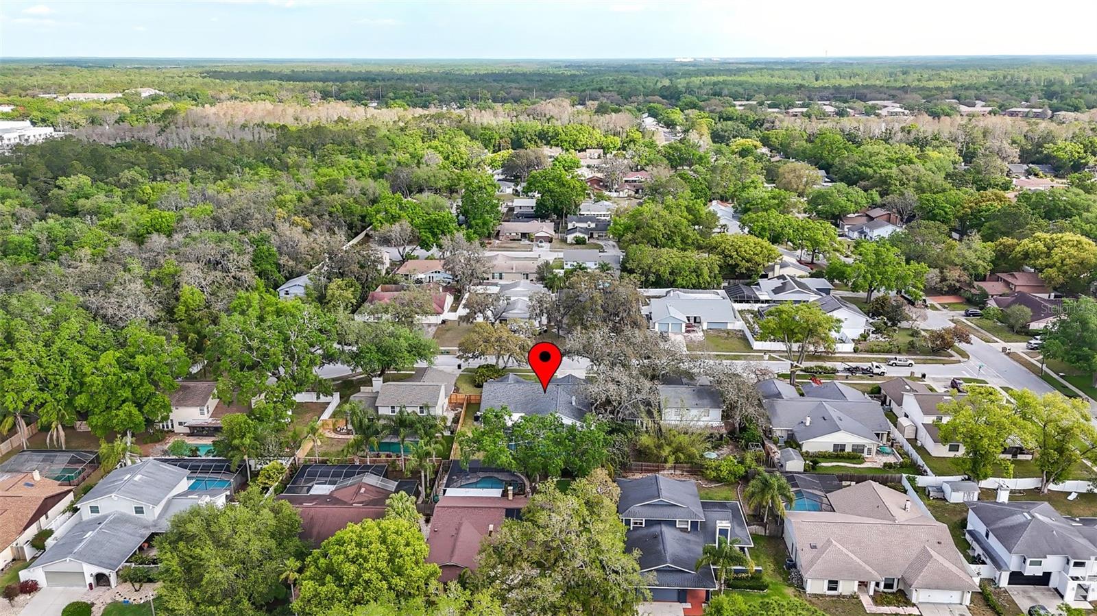 6105 RAIN BRIAR CT, TEMPLE TERRACE, FL, 33617