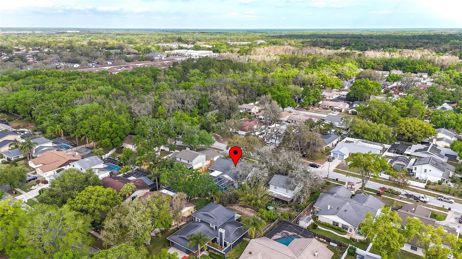 6105 RAIN BRIAR CT, TEMPLE TERRACE, FL, 33617