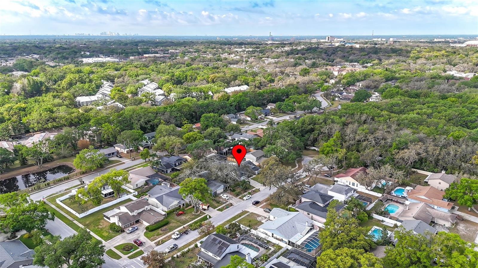 6105 RAIN BRIAR CT, TEMPLE TERRACE, FL, 33617