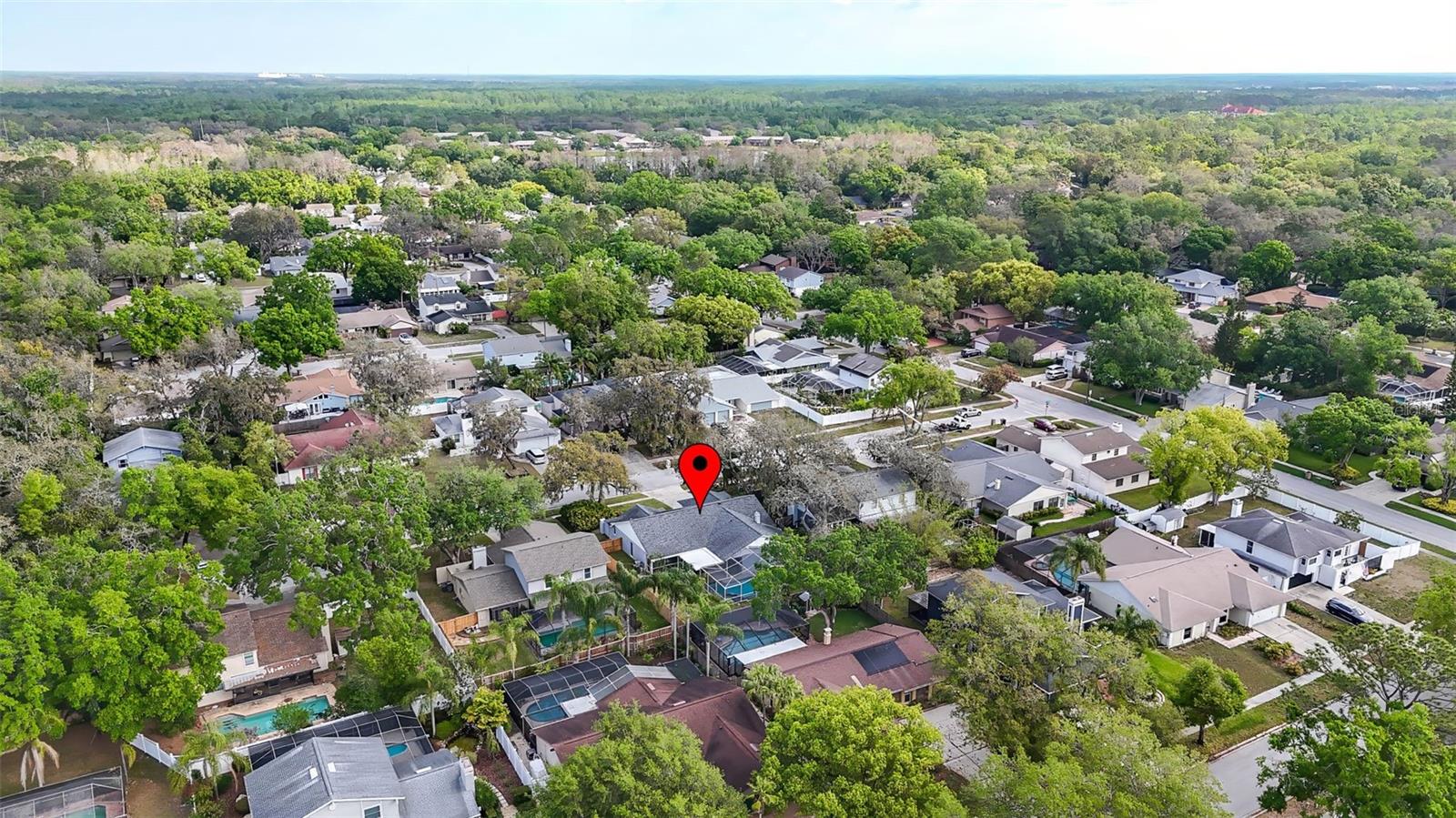 6105 RAIN BRIAR CT, TEMPLE TERRACE, FL, 33617
