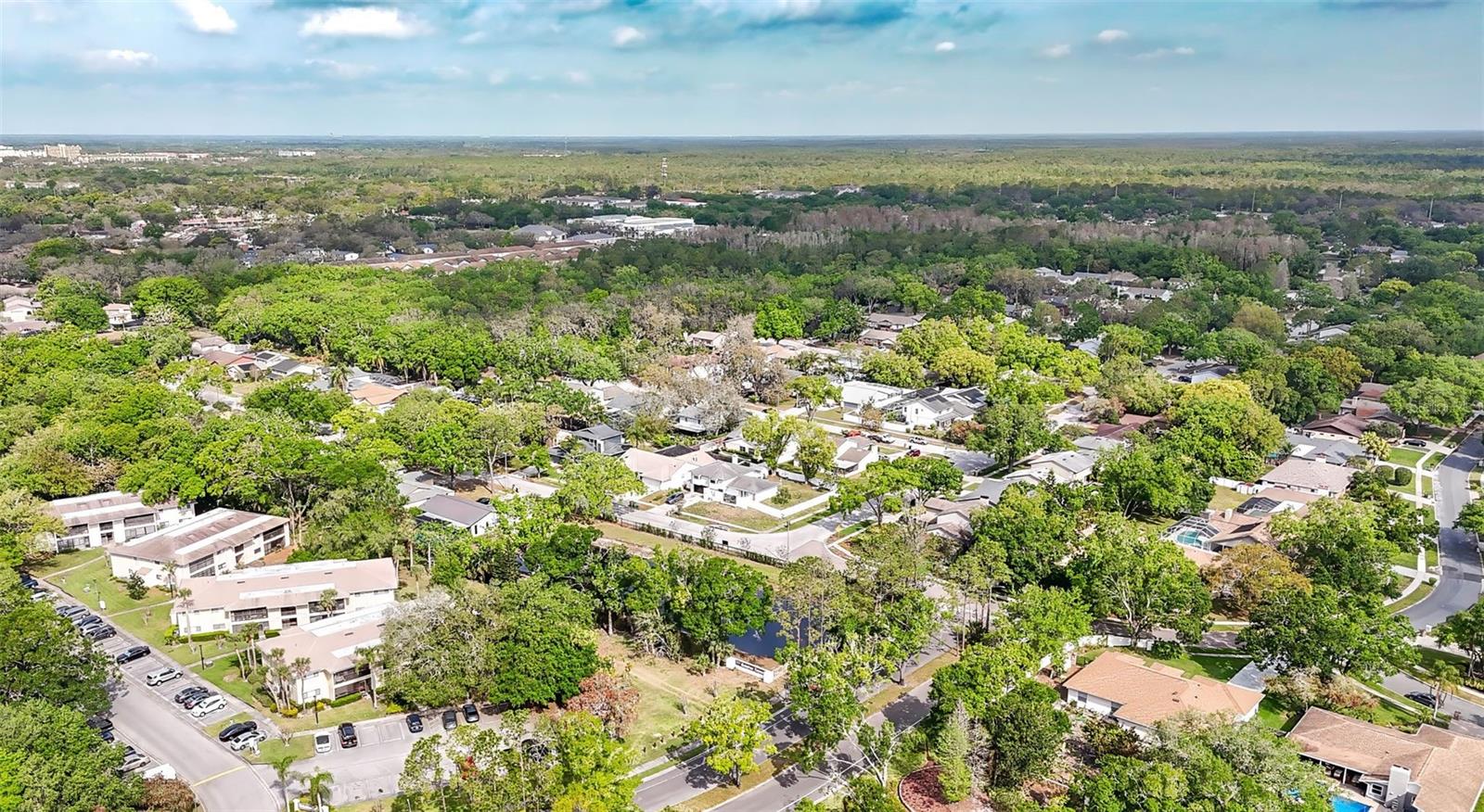 6105 RAIN BRIAR CT, TEMPLE TERRACE, FL, 33617