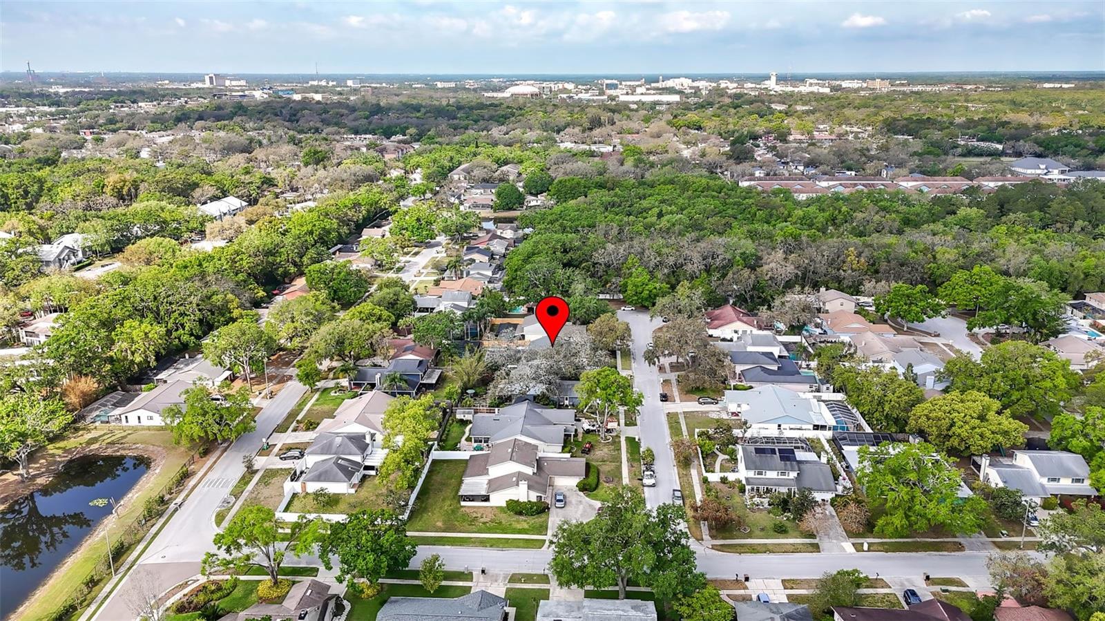 6105 RAIN BRIAR CT, TEMPLE TERRACE, FL, 33617