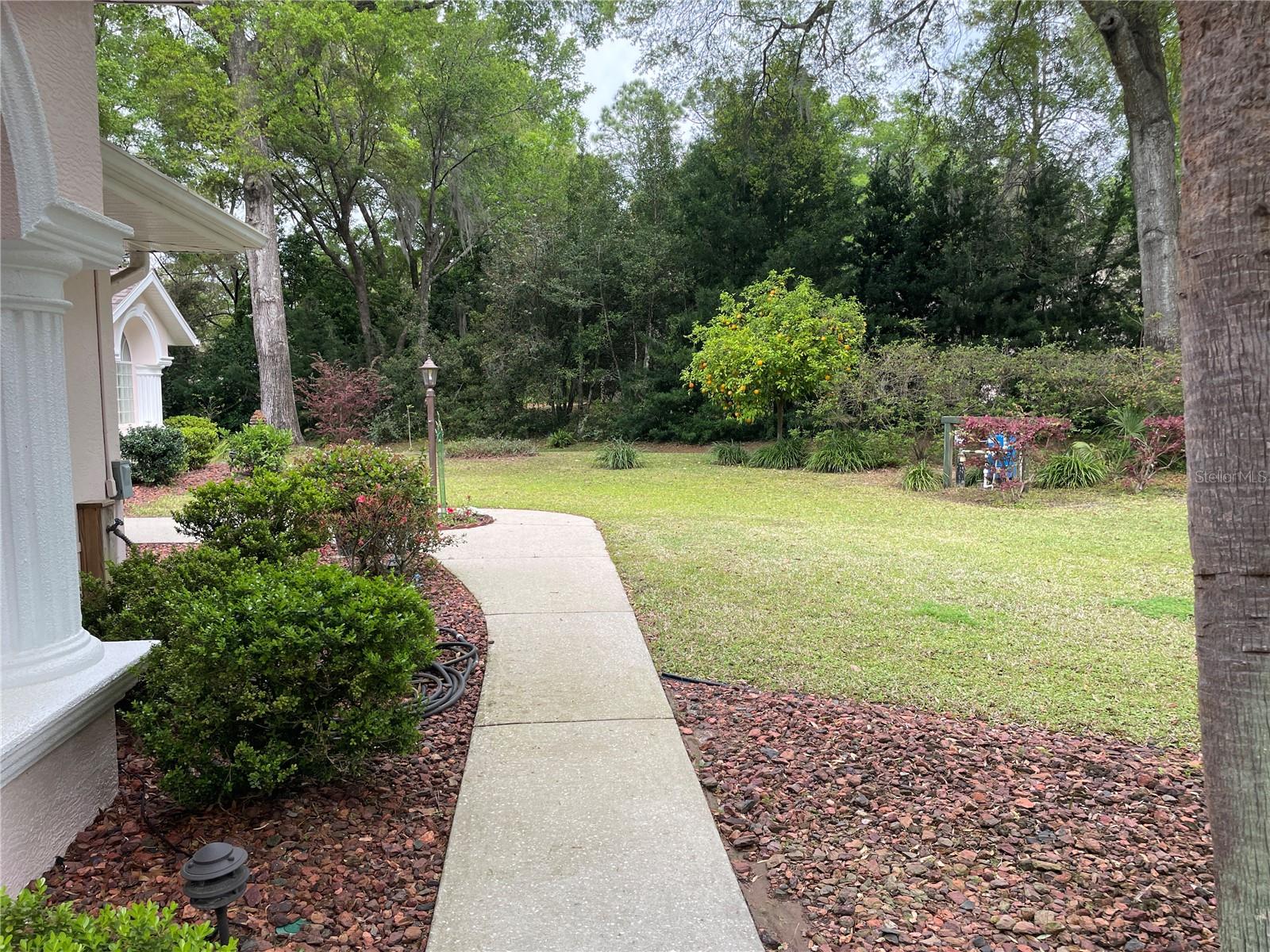 19903 SW 97TH LN, DUNNELLON, FL, 34432
