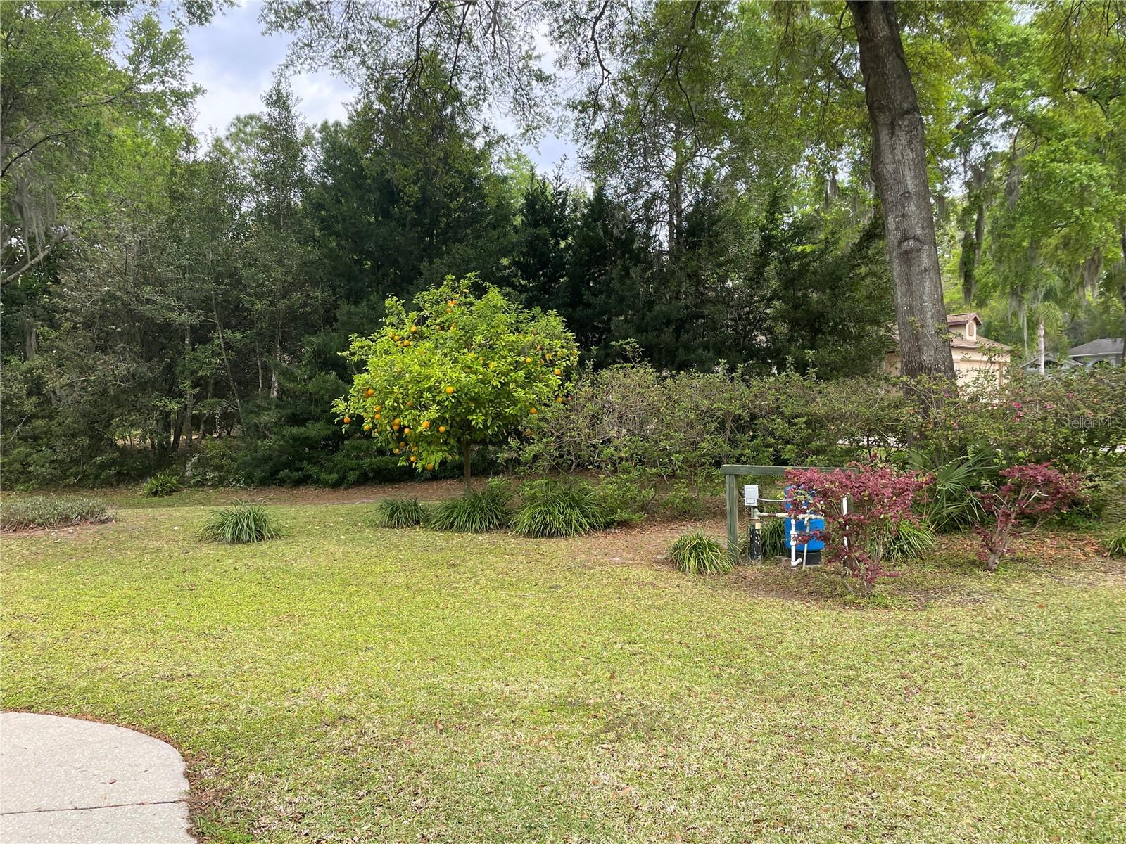 19903 SW 97TH LN, DUNNELLON, FL, 34432