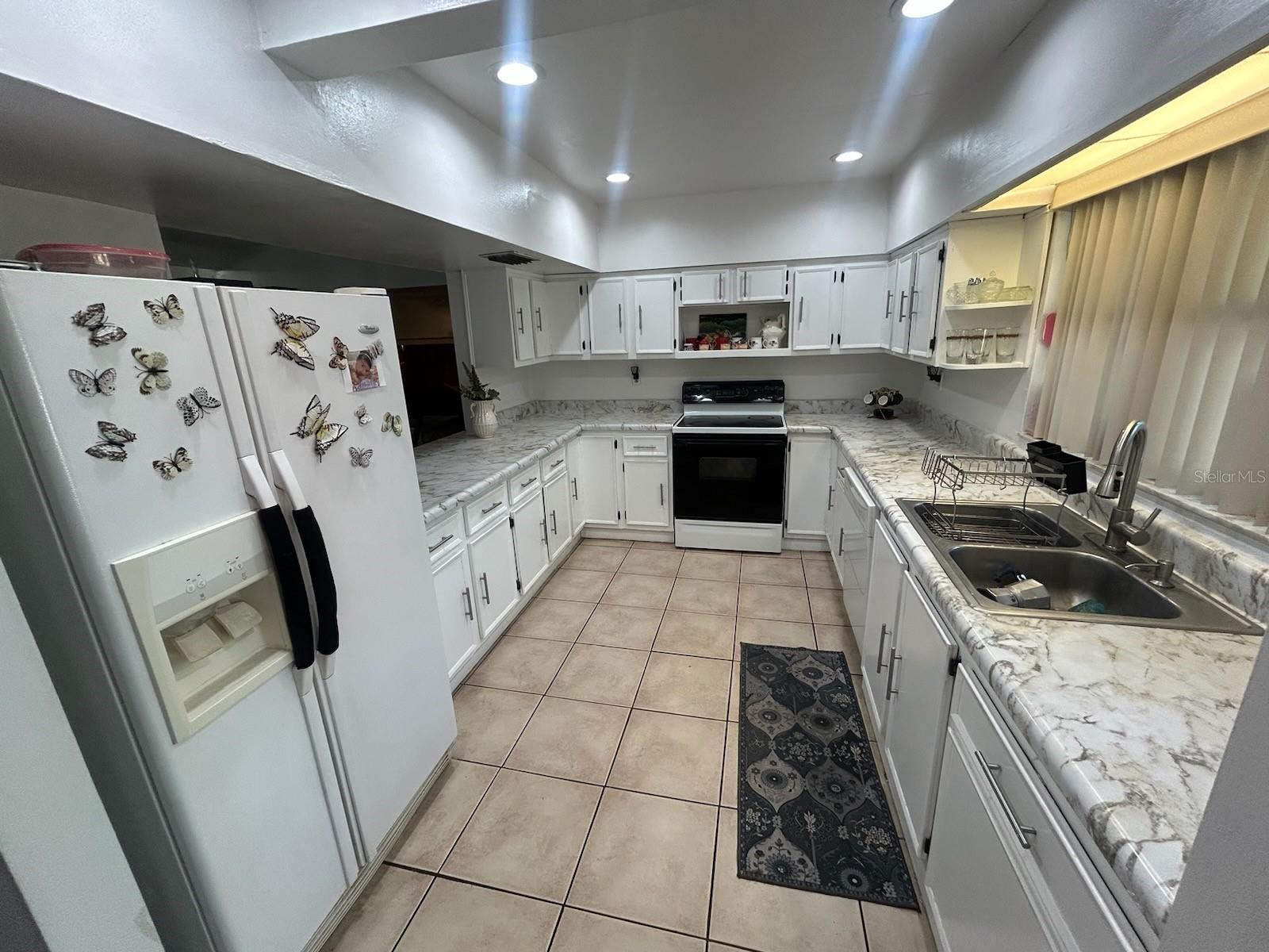 14633 SASSANDRA DR, ODESSA, FL, 33556