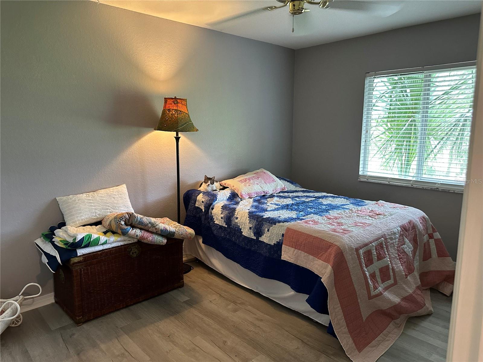6082 SW 104TH ST, OCALA, FL, 34476