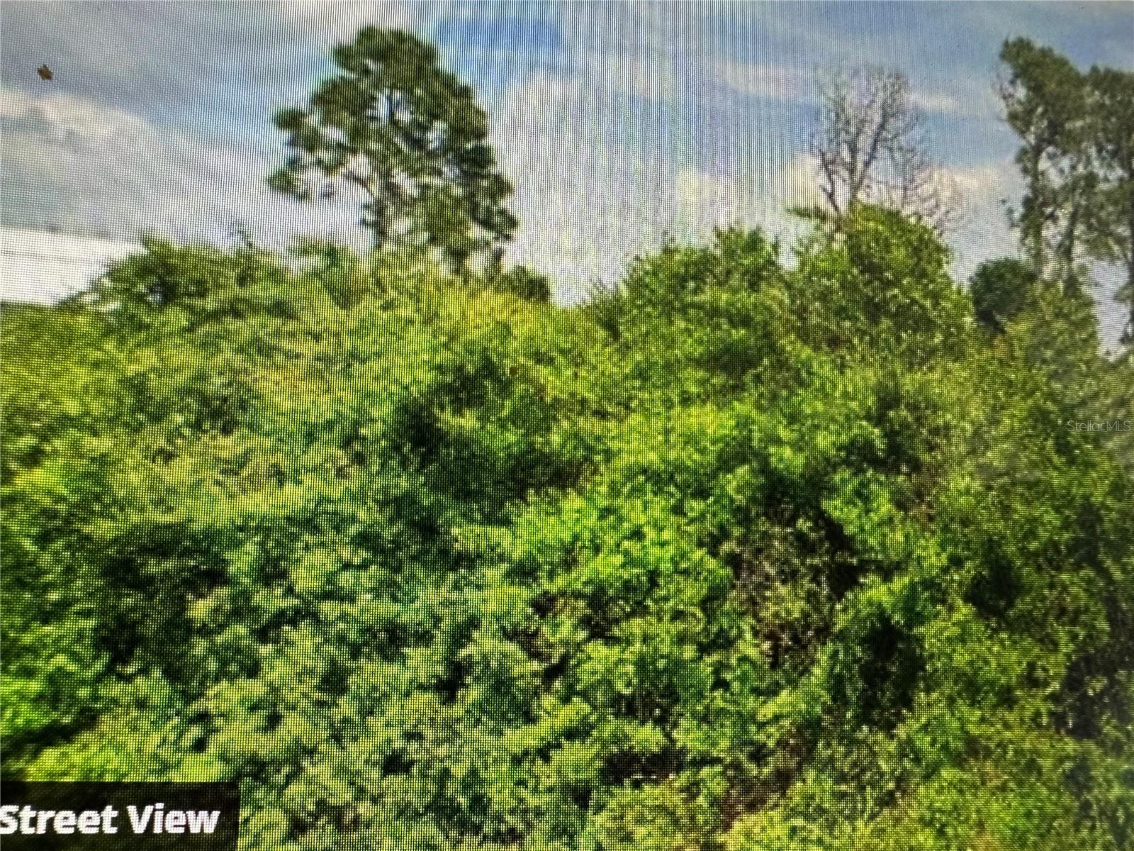 12476 BIRTLE AVE, PORT CHARLOTTE, FL, 33981
