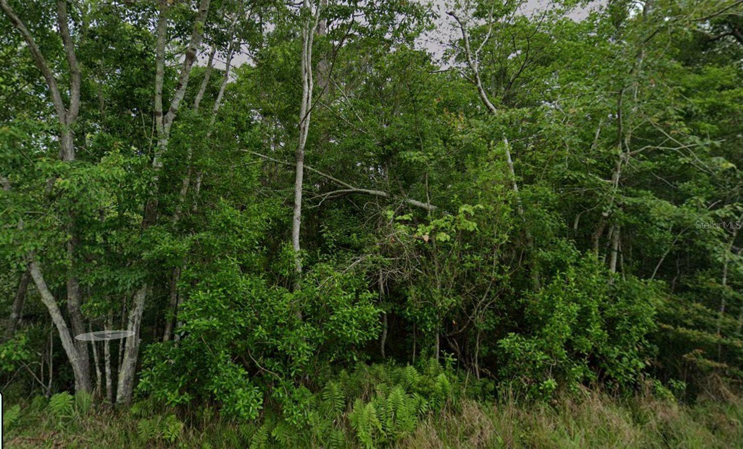 0 PEARSON RD, MILTON, FL, 32583