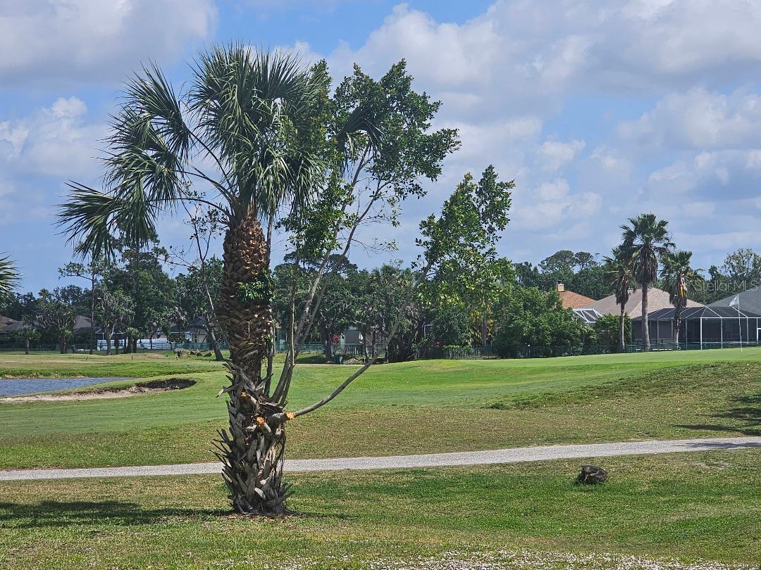6712 BOBBY JONES CT, PALMETTO, FL, 34221