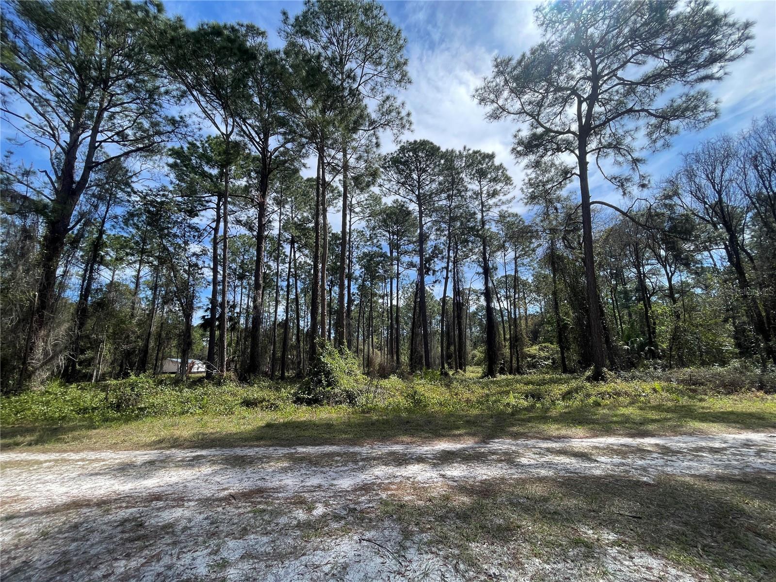 105 ROSEWOOD ST, GEORGETOWN, FL, 32139