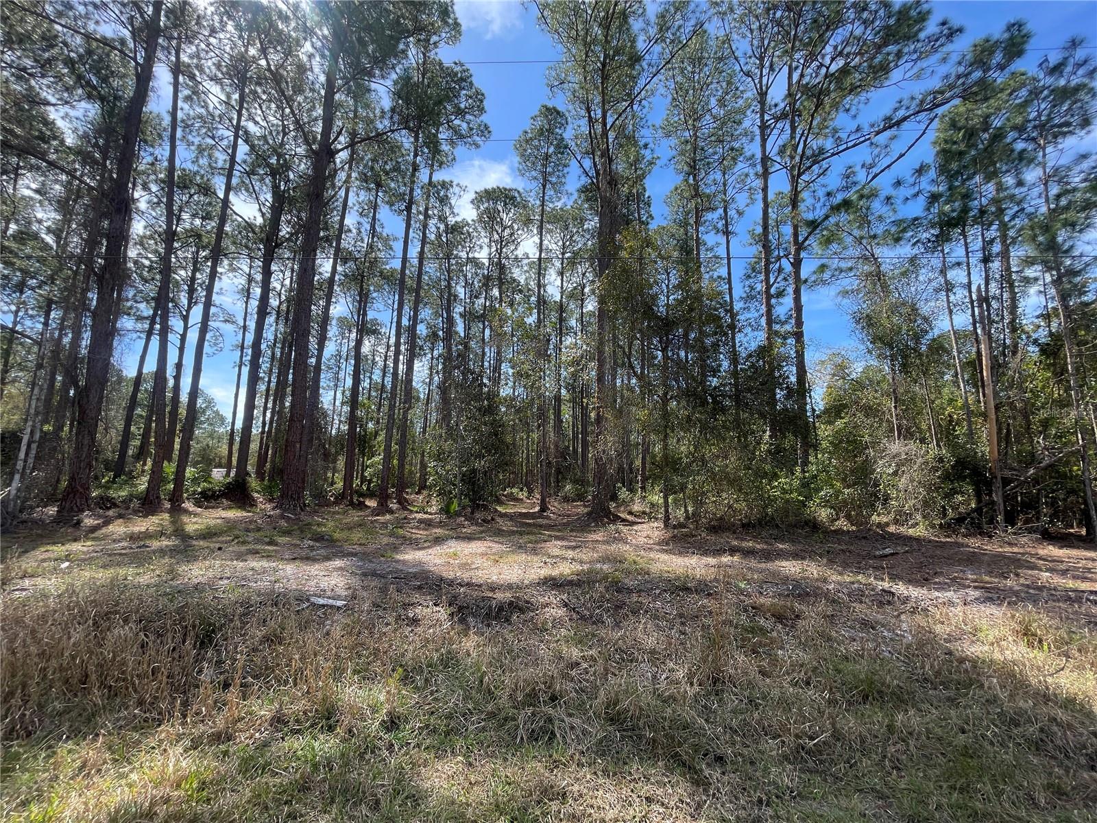 105 ROSEWOOD ST, GEORGETOWN, FL, 32139