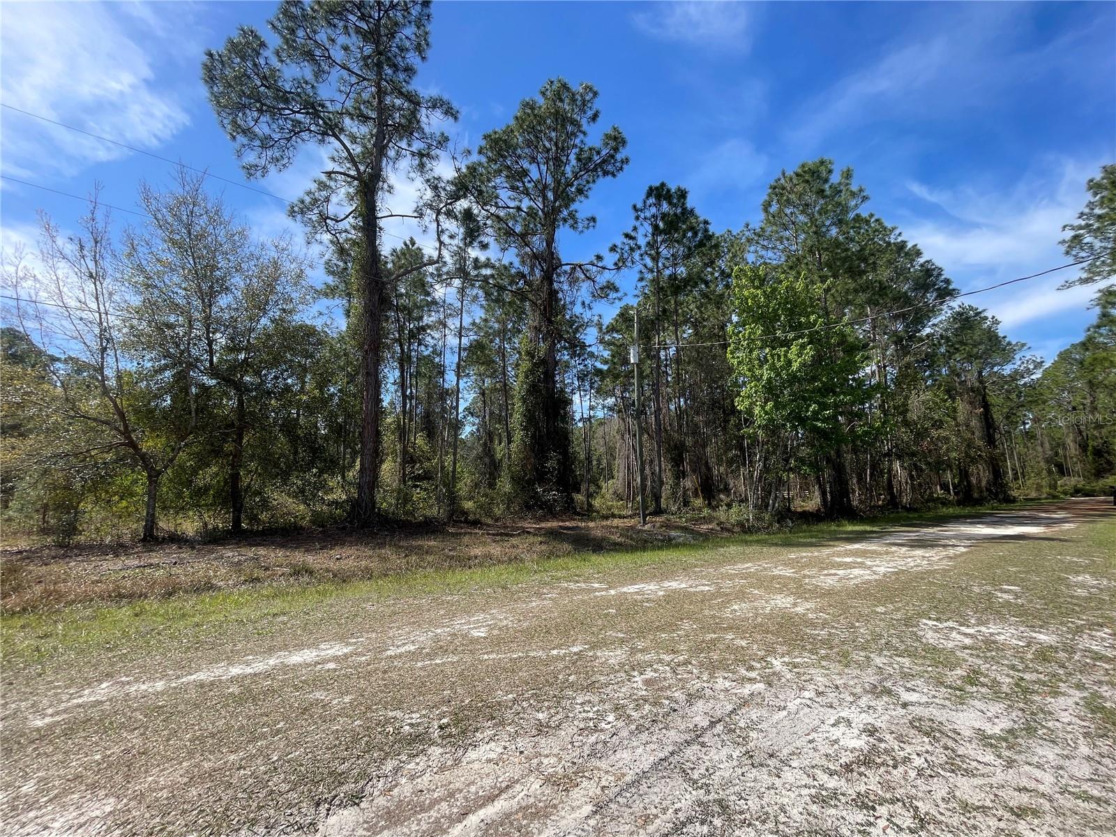 105 ROSEWOOD ST, GEORGETOWN, FL, 32139