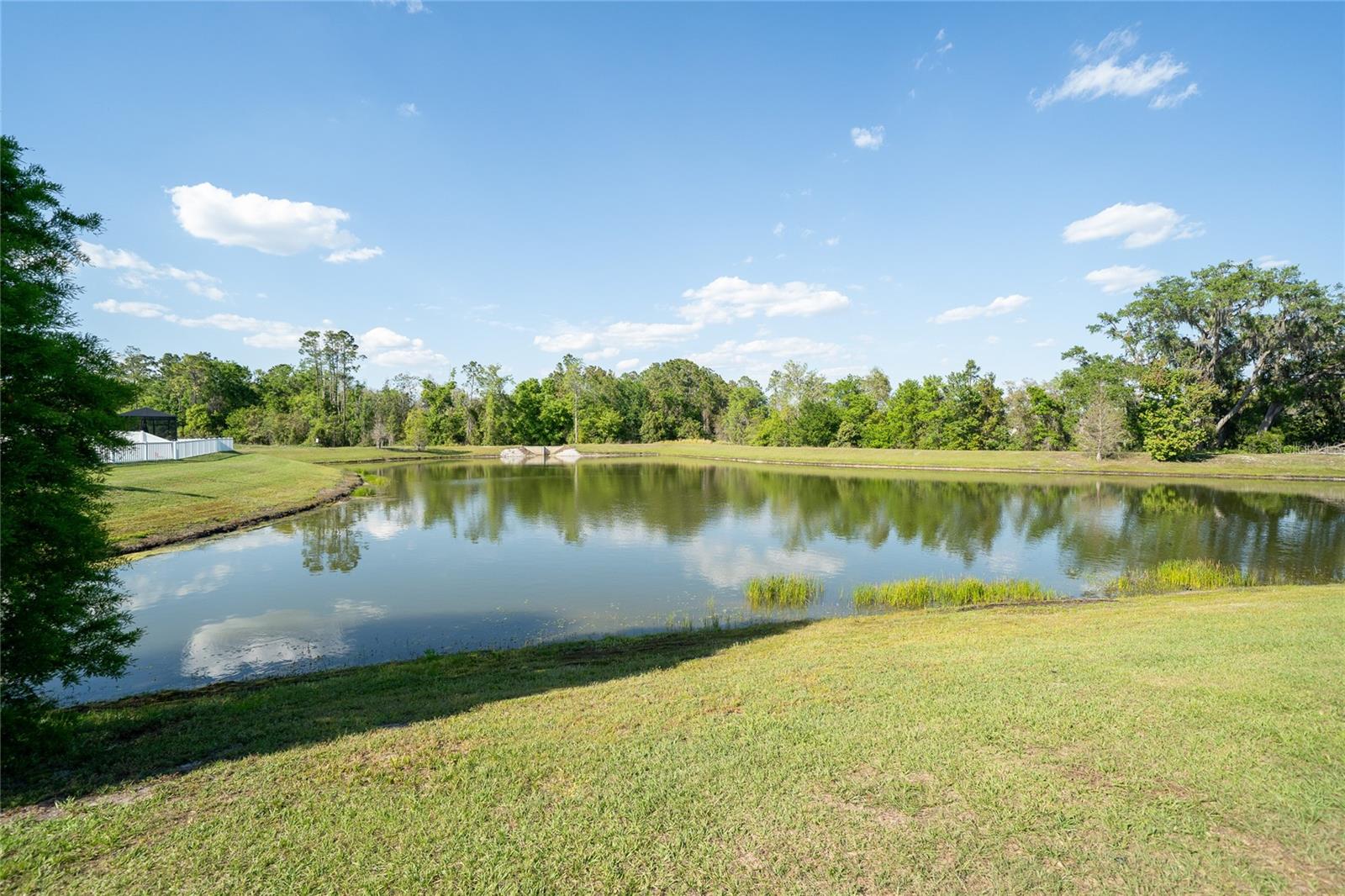 36077 STABLE WILK AVE, ZEPHYRHILLS, FL, 33541