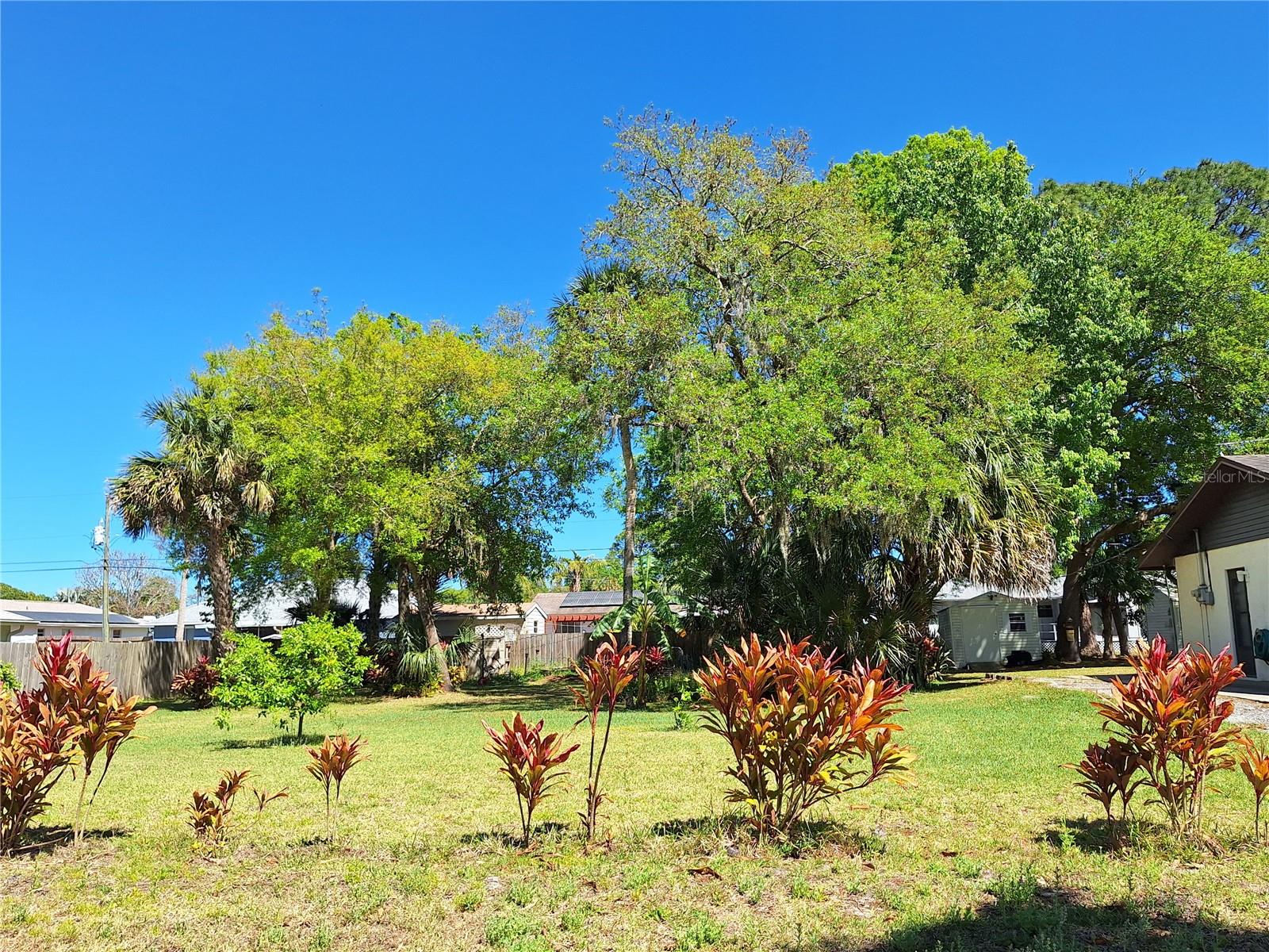 3221 LIME TREE DR, EDGEWATER, FL, 32141