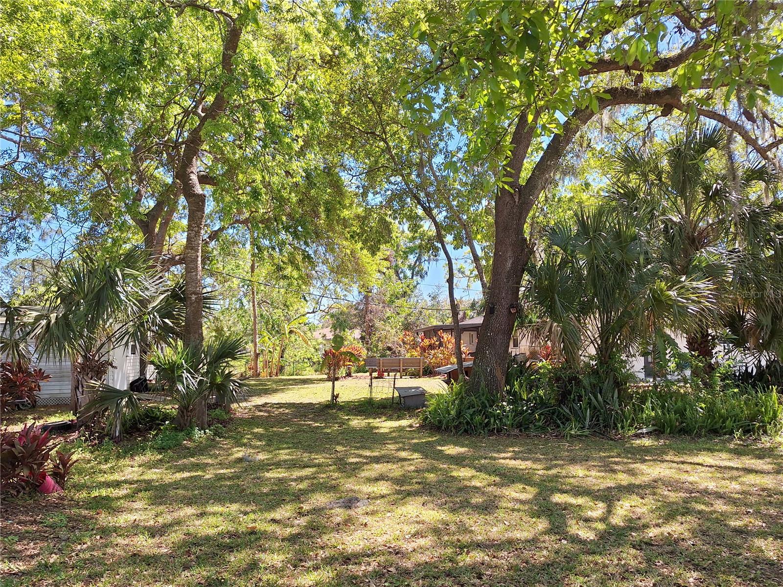 3221 LIME TREE DR, EDGEWATER, FL, 32141