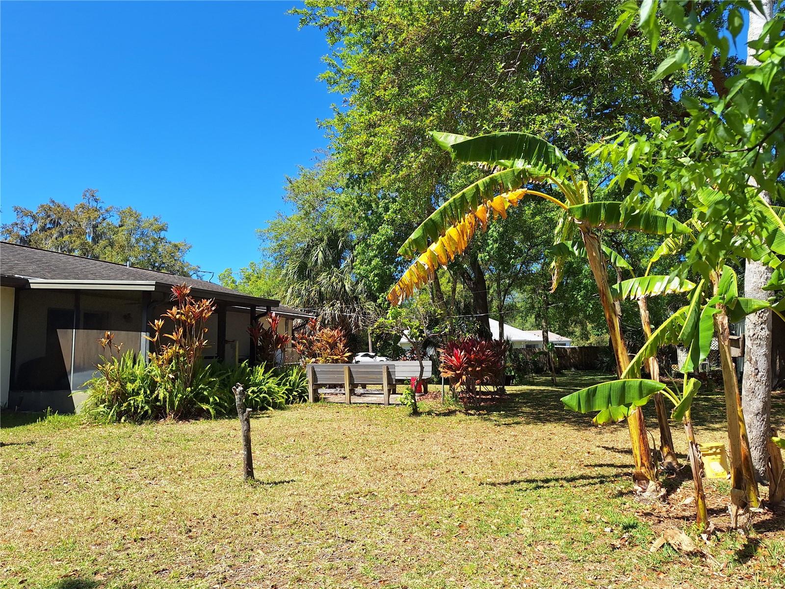 3221 LIME TREE DR, EDGEWATER, FL, 32141