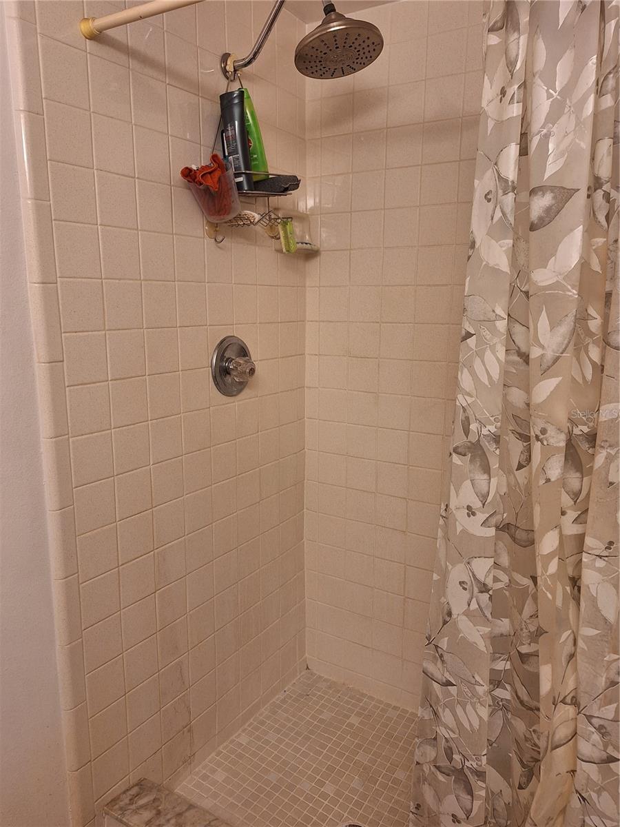 3221 LIME TREE DR, EDGEWATER, FL, 32141