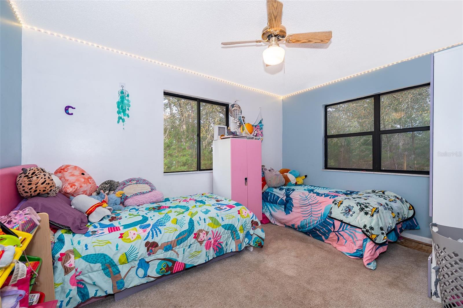38851 FOREST DR, EUSTIS, FL, 32736