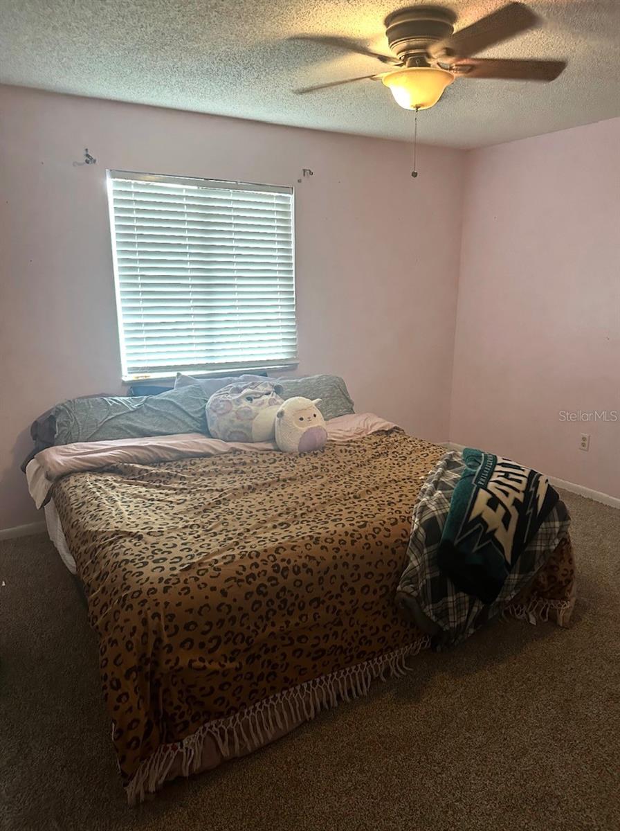 38851 FOREST DR, EUSTIS, FL, 32736