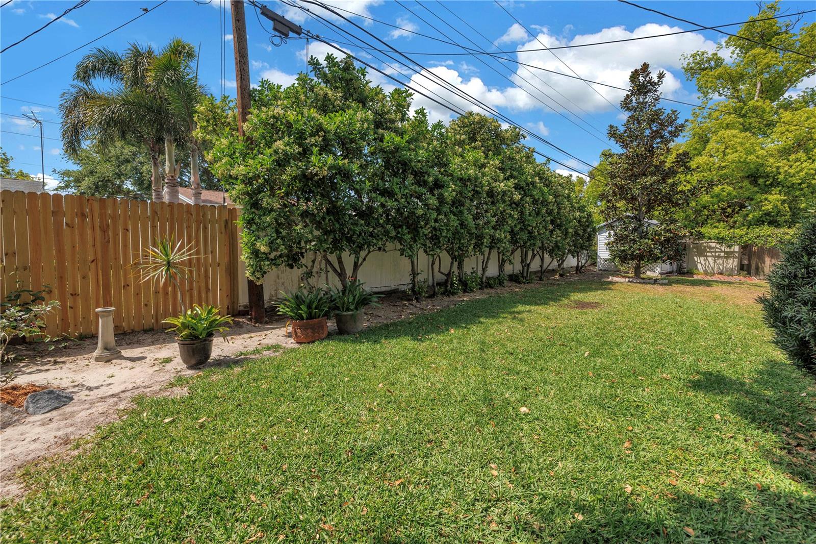 9044 LYNWOOD DR, SEMINOLE, FL, 33772