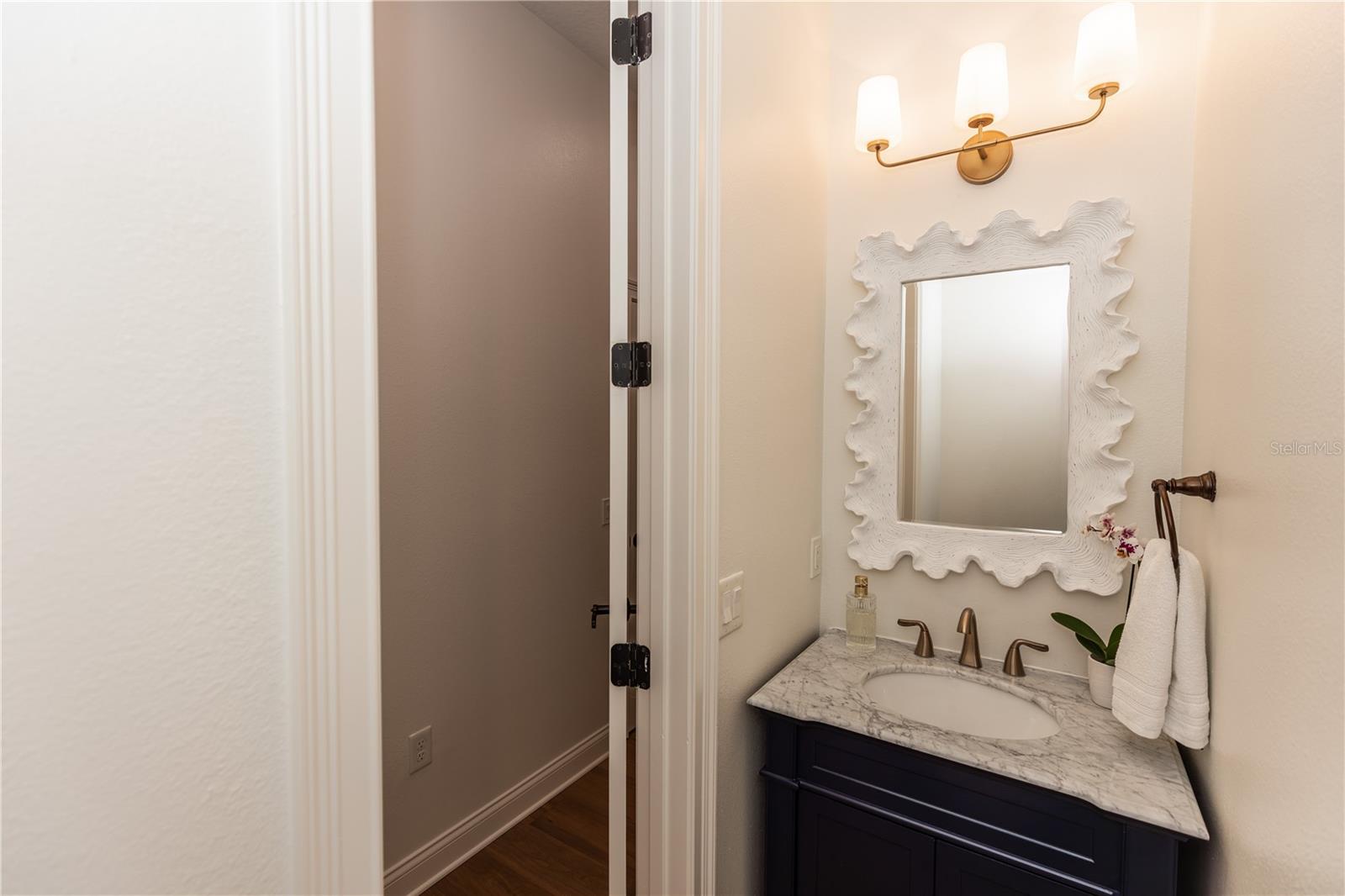 25813 FEATHER RIDGE LN, SORRENTO, FL, 32776