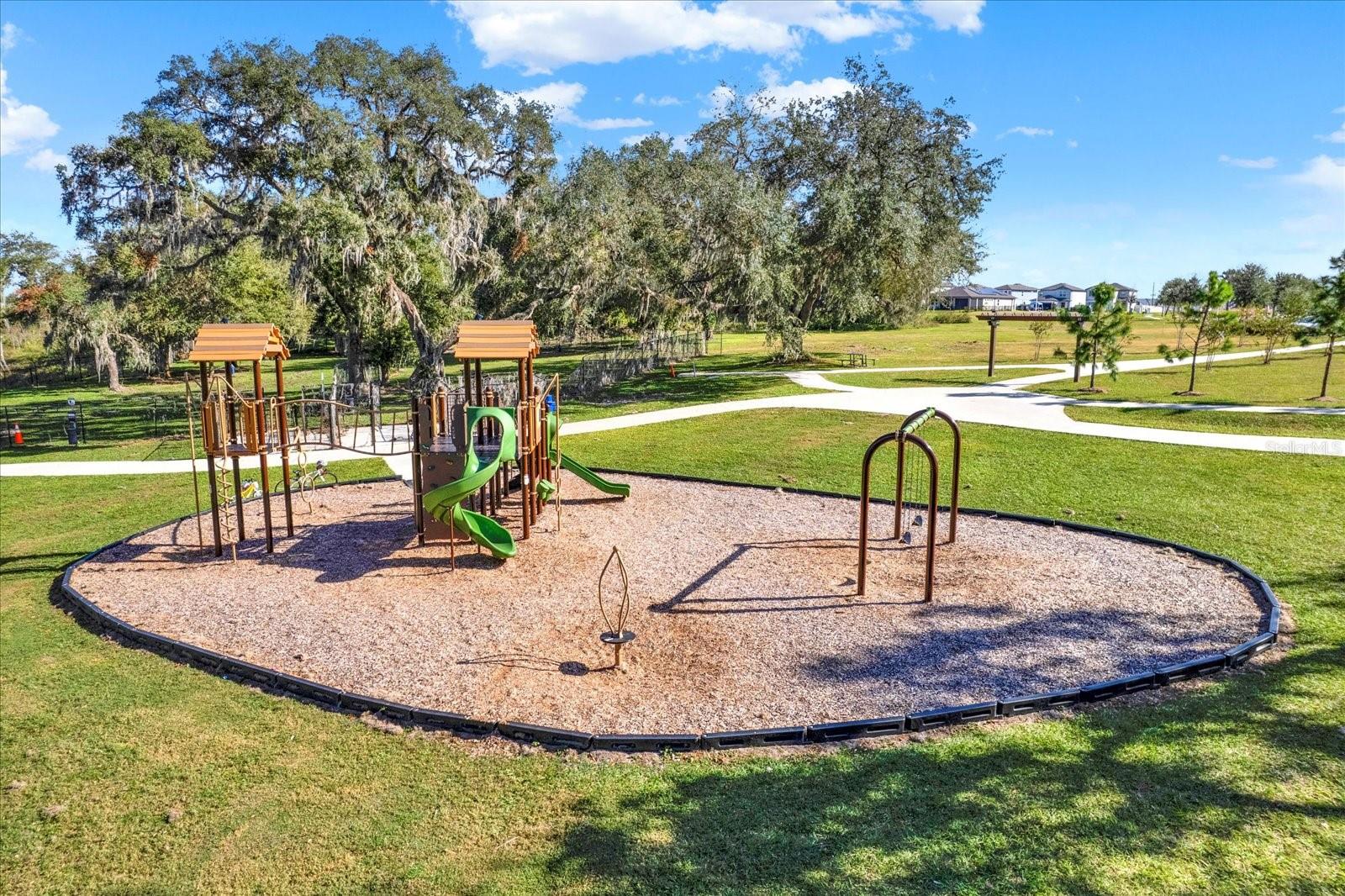 30618 SUMMER SUN LOOP, WESLEY CHAPEL, FL, 33545