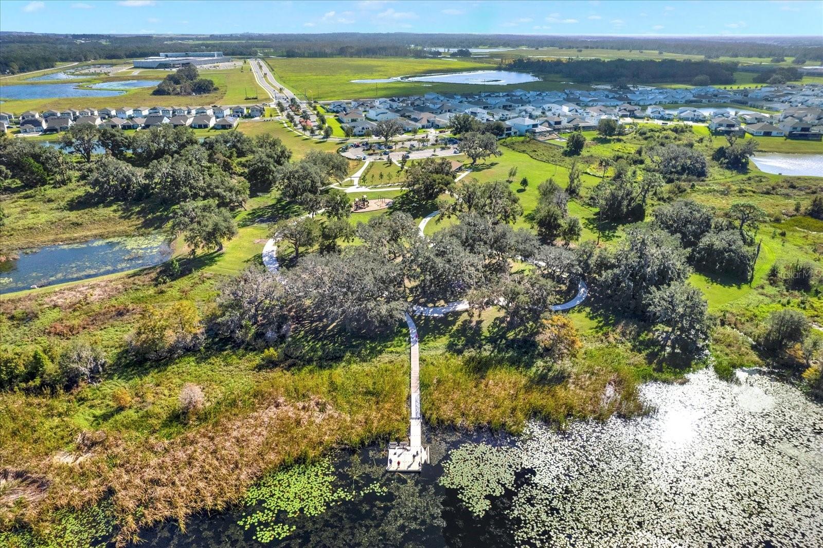 30618 SUMMER SUN LOOP, WESLEY CHAPEL, FL, 33545