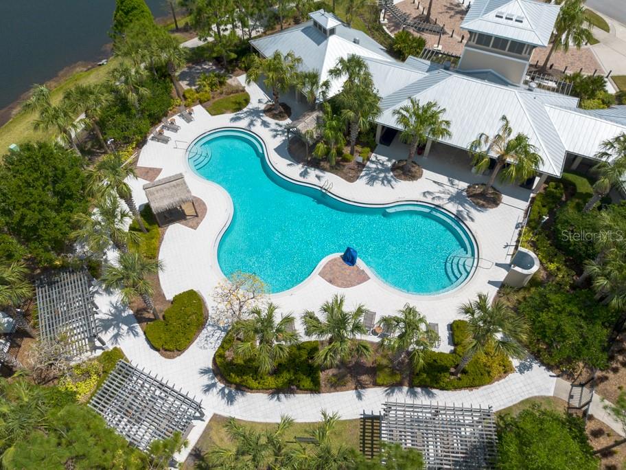 11966 CLIMBING FERN AVE, RIVERVIEW, FL, 33579