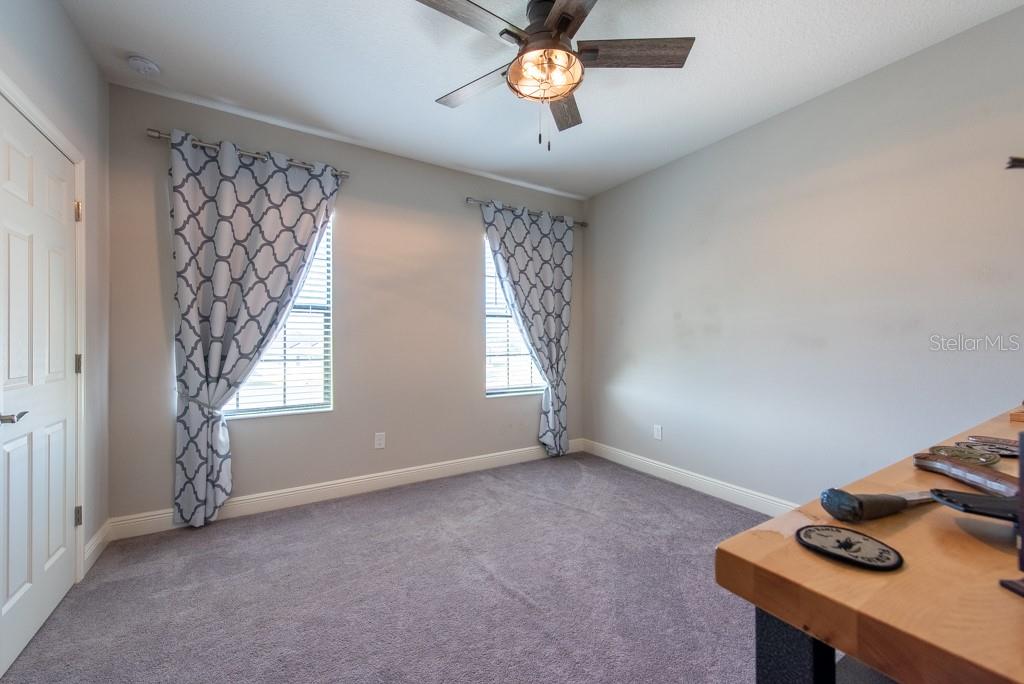 11966 CLIMBING FERN AVE, RIVERVIEW, FL, 33579