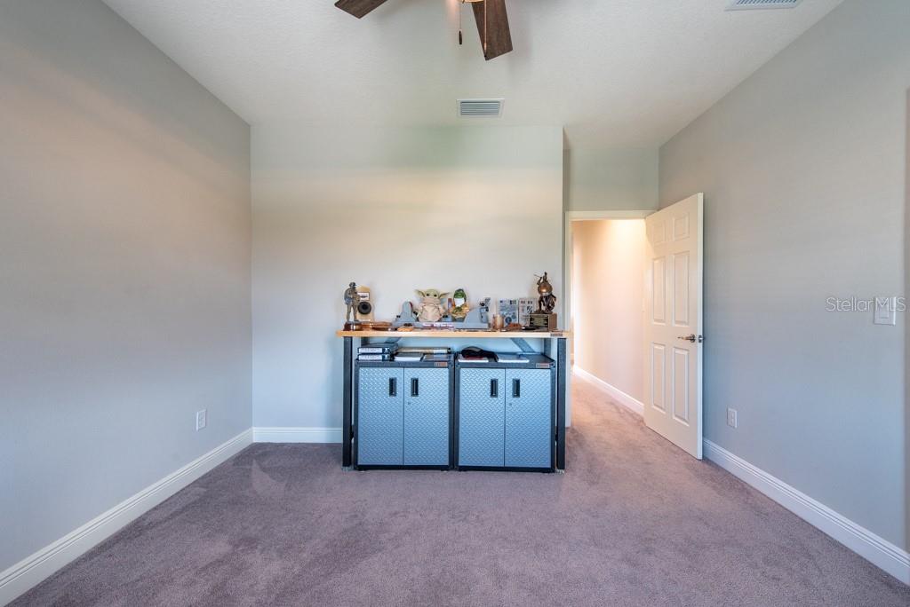 11966 CLIMBING FERN AVE, RIVERVIEW, FL, 33579