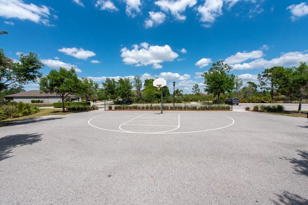 11966 CLIMBING FERN AVE, RIVERVIEW, FL, 33579