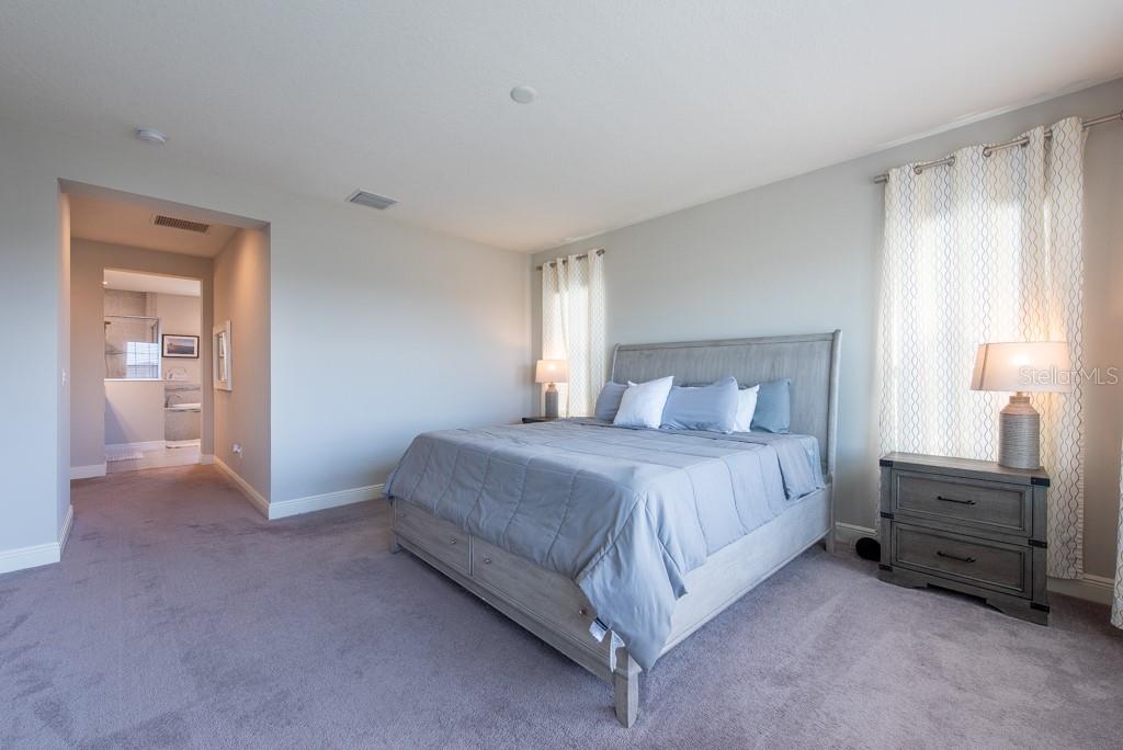 11966 CLIMBING FERN AVE, RIVERVIEW, FL, 33579