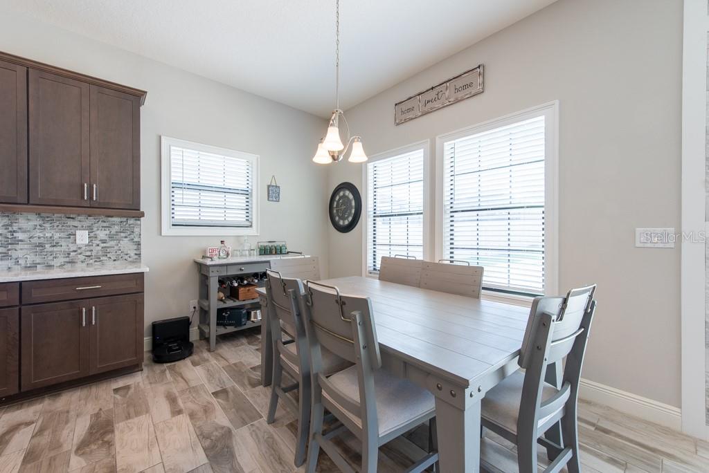 11966 CLIMBING FERN AVE, RIVERVIEW, FL, 33579