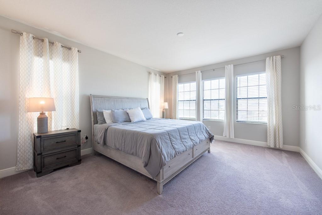 11966 CLIMBING FERN AVE, RIVERVIEW, FL, 33579