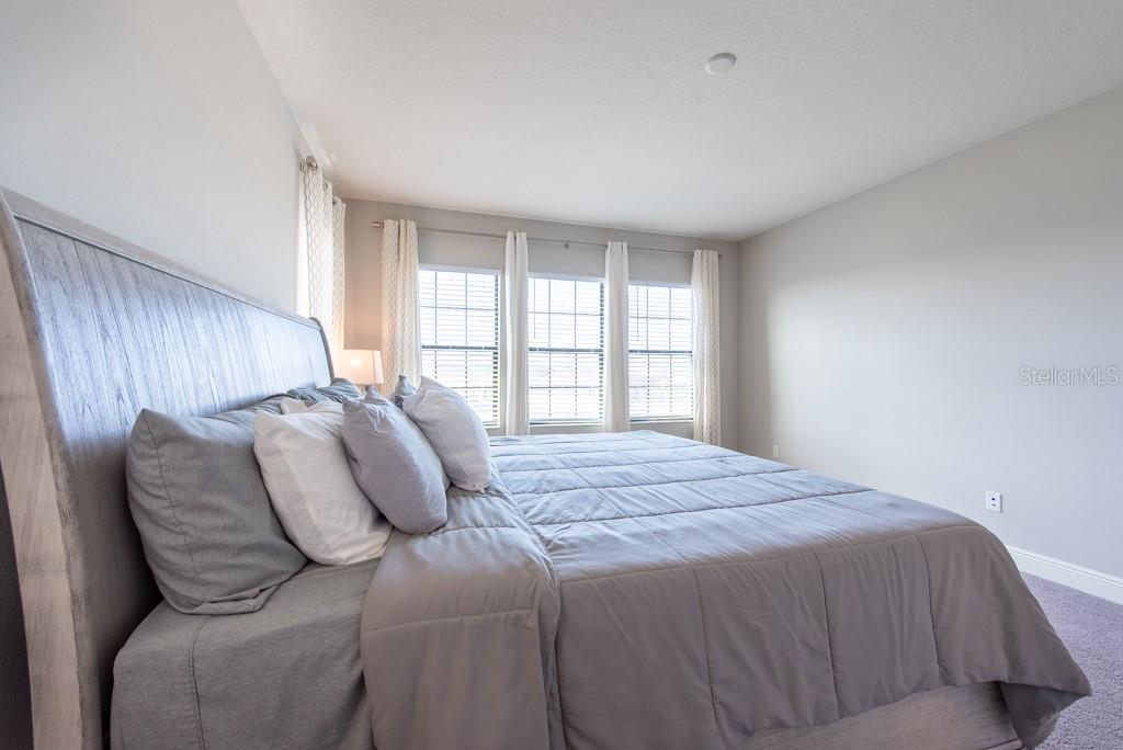 11966 CLIMBING FERN AVE, RIVERVIEW, FL, 33579