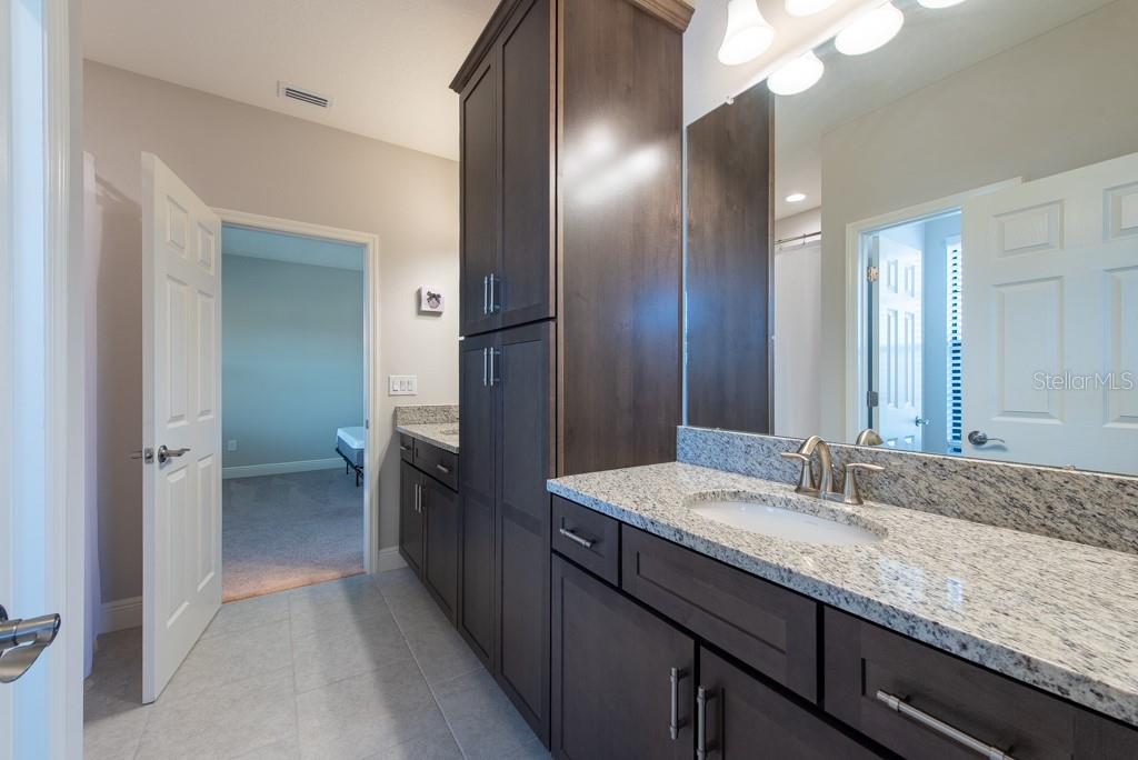 11966 CLIMBING FERN AVE, RIVERVIEW, FL, 33579