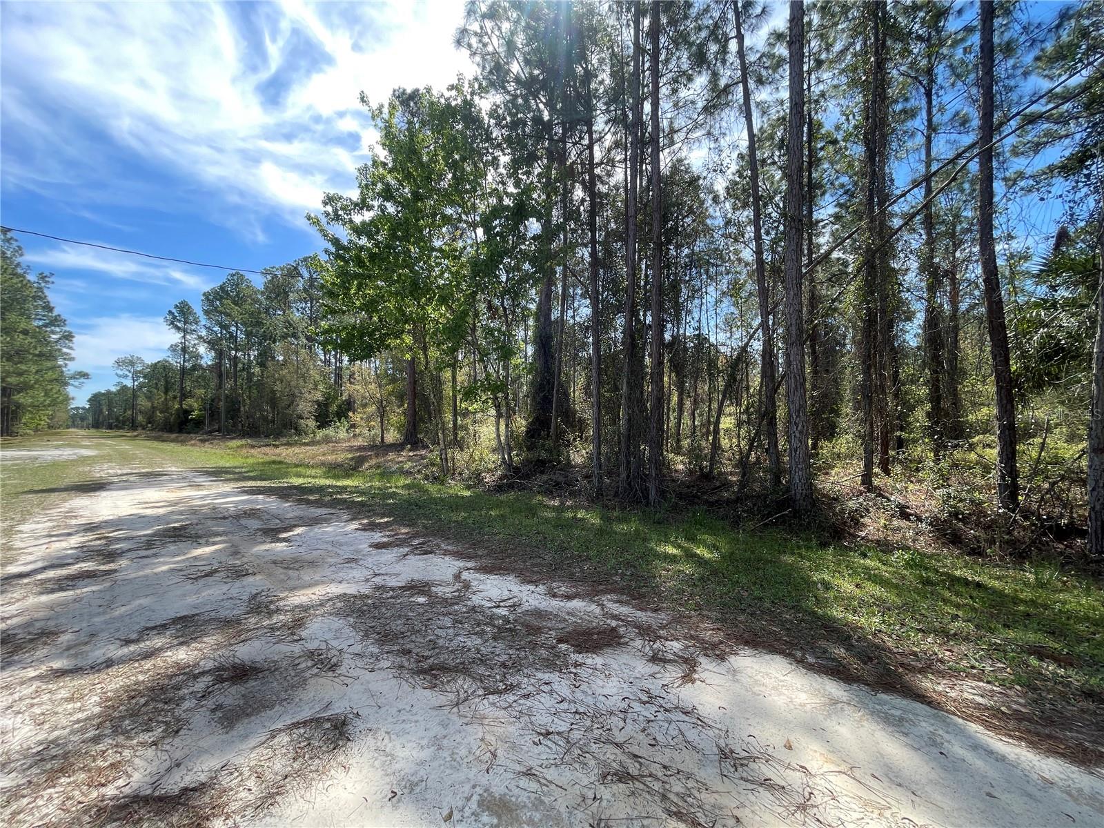 107 ROSEWOOD ST, GEORGETOWN, FL, 32139