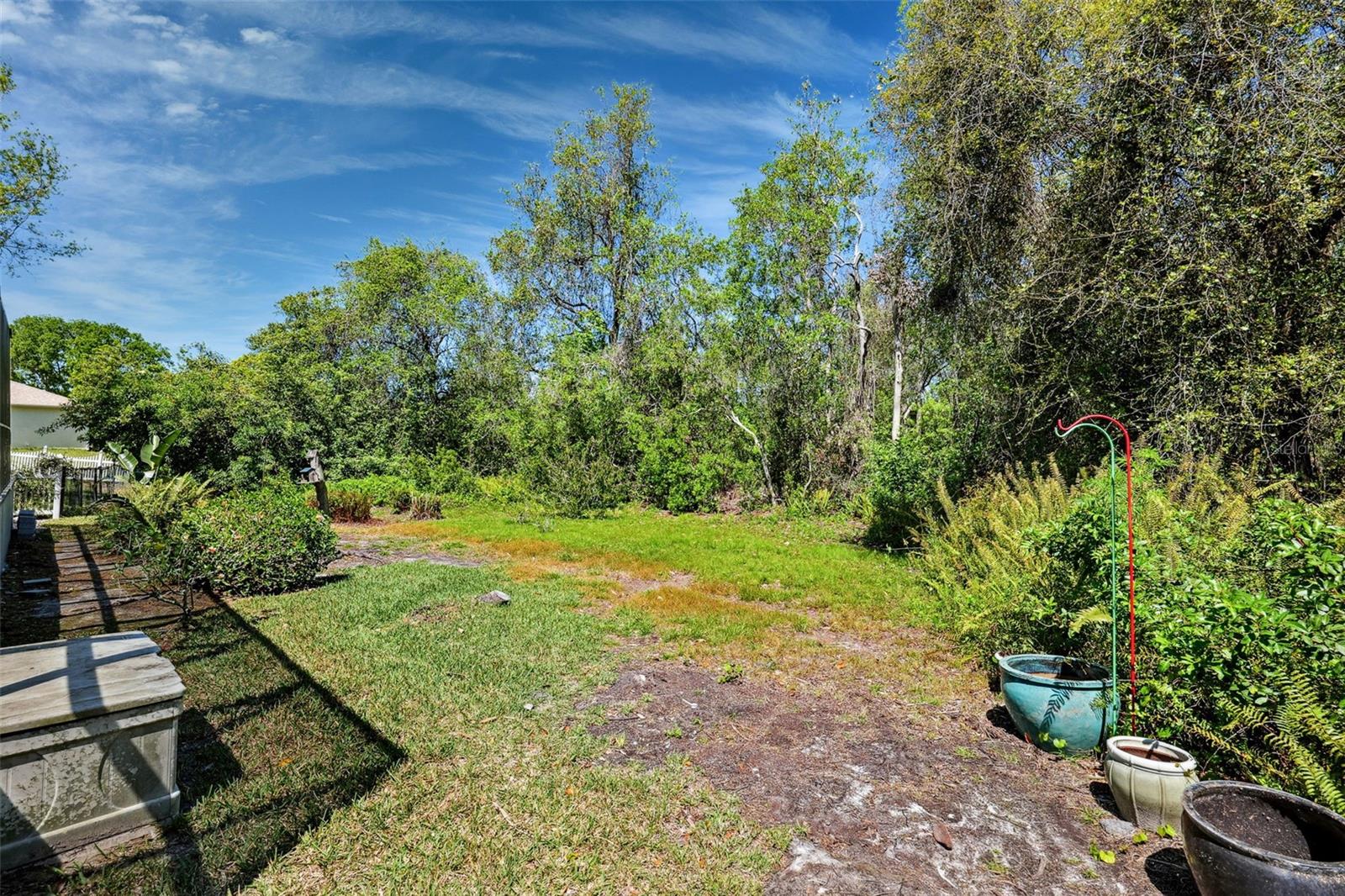 12308 BRAMFIELD DR, RIVERVIEW, FL, 33579