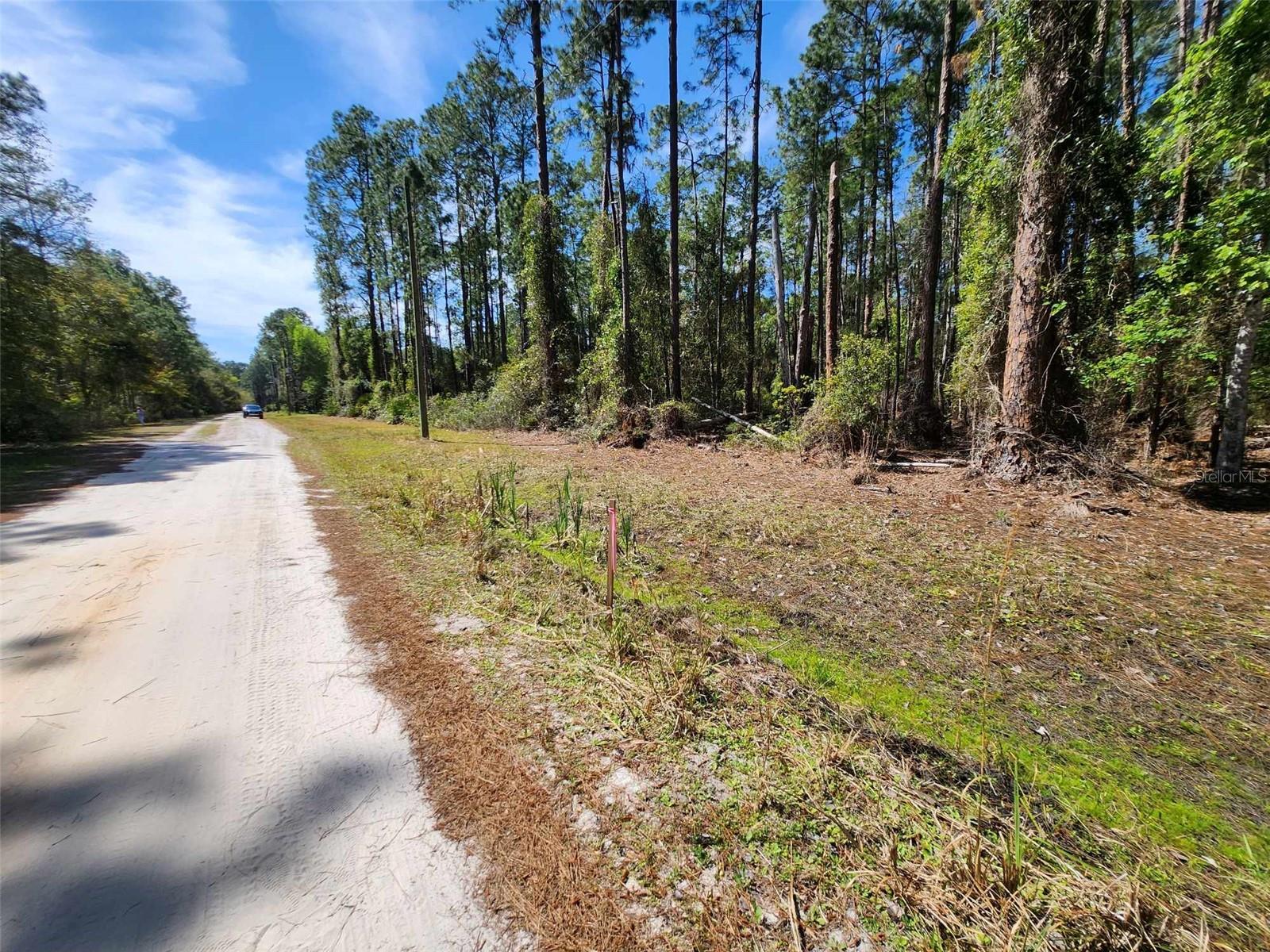 116 MOSSWOOD ST, GEORGETOWN, FL, 32139
