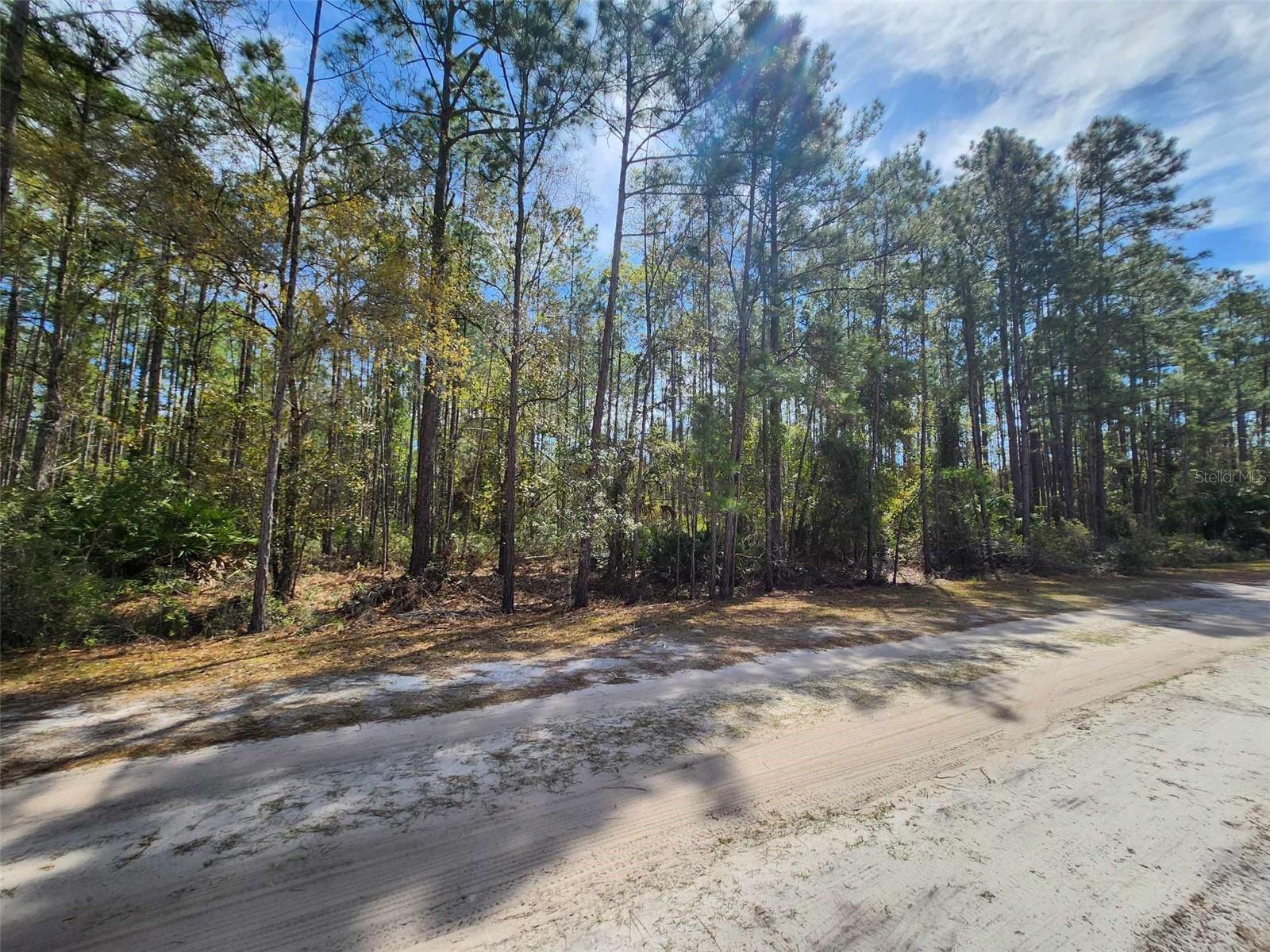 116 MOSSWOOD ST, GEORGETOWN, FL, 32139