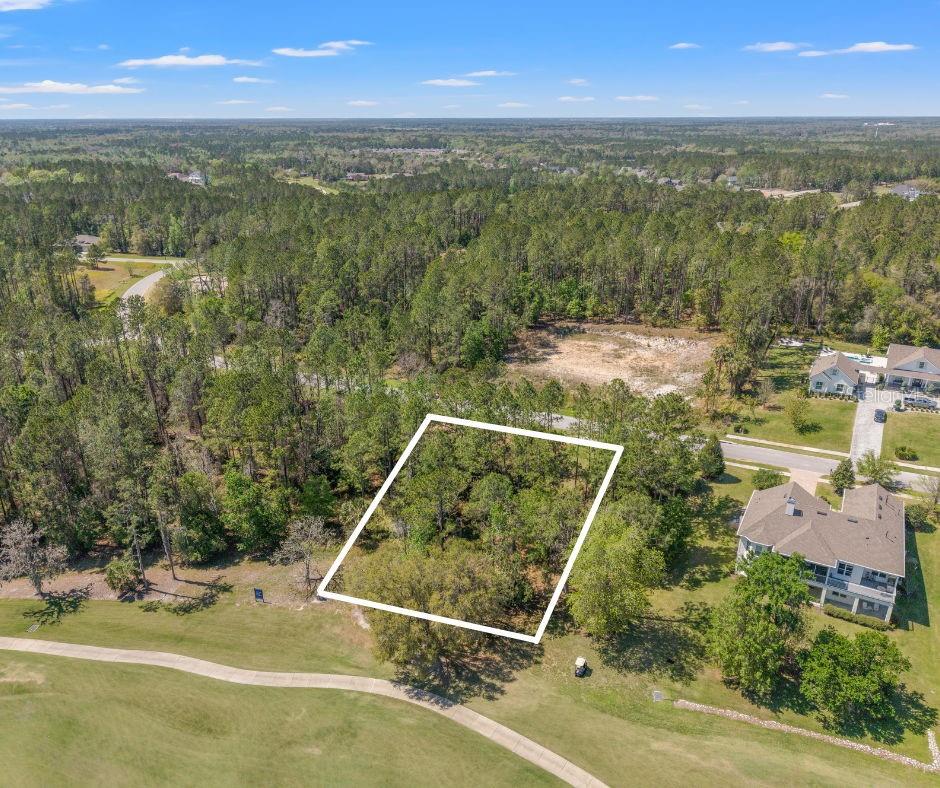 20044 ENGLISH WALNUT PL, BROOKSVILLE, FL, 34601
