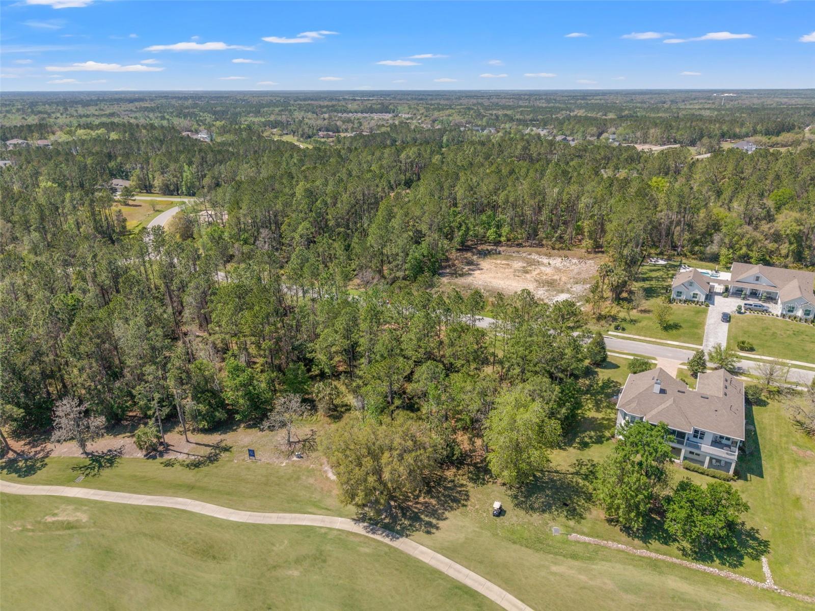 20044 ENGLISH WALNUT PL, BROOKSVILLE, FL, 34601