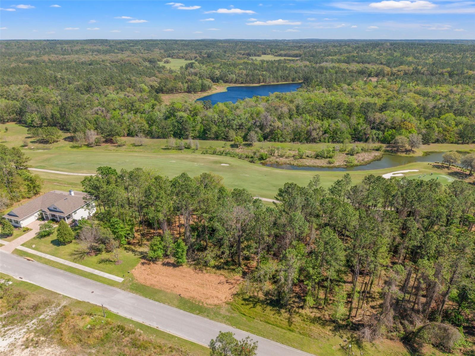 20044 ENGLISH WALNUT PL, BROOKSVILLE, FL, 34601