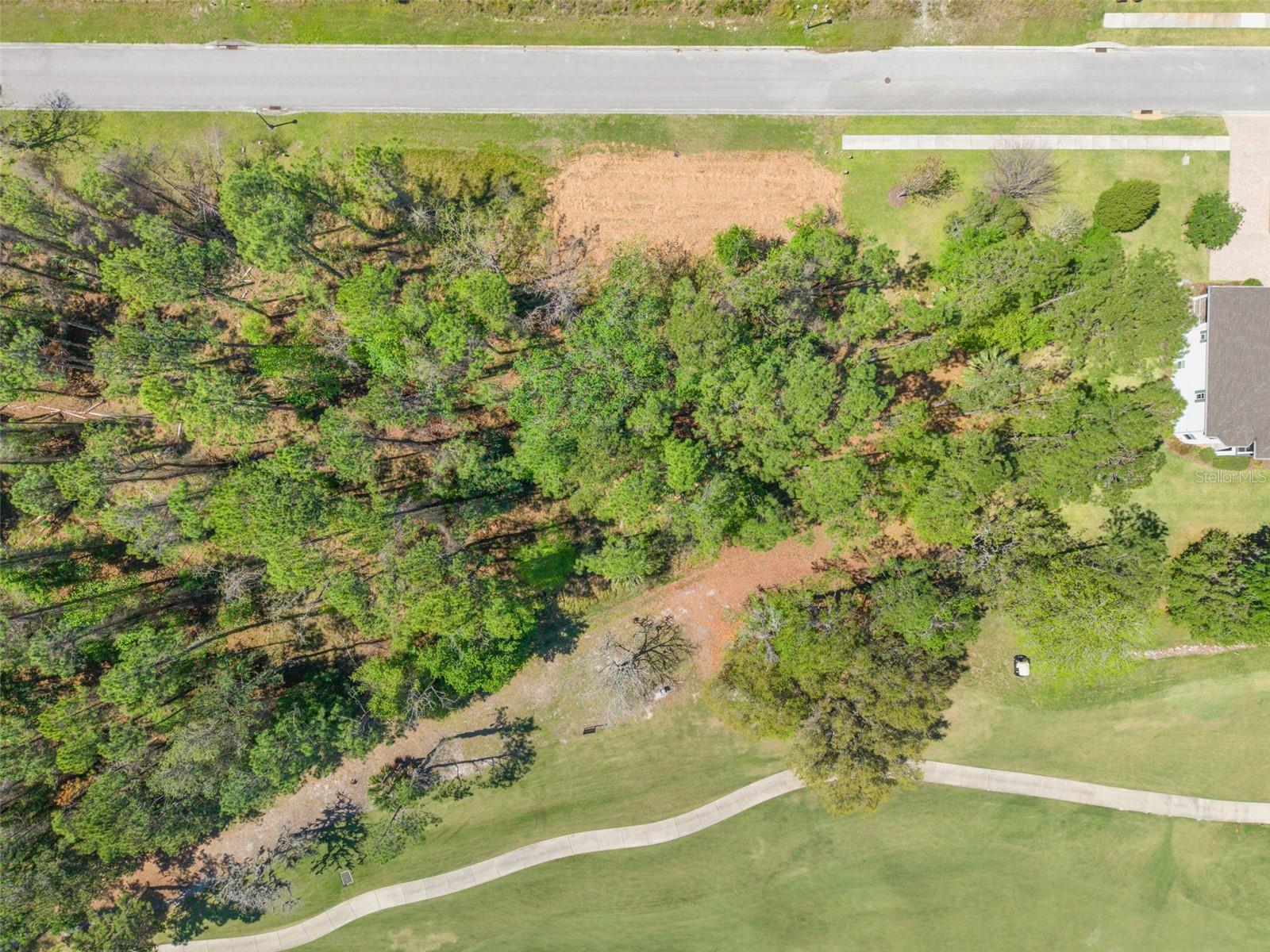 20044 ENGLISH WALNUT PL, BROOKSVILLE, FL, 34601