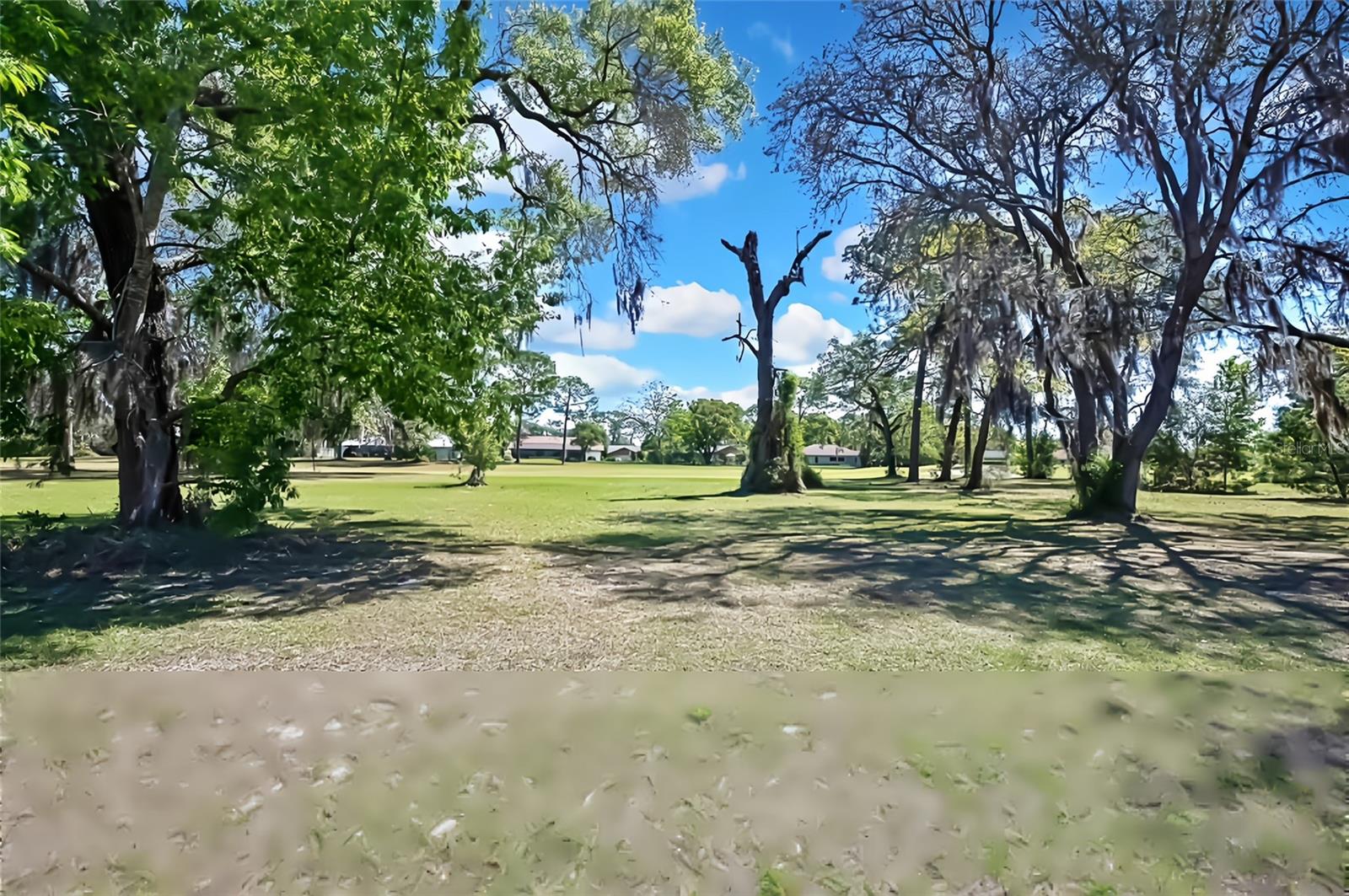 10200 SWANSON CT, SPRING HILL, FL, 34608