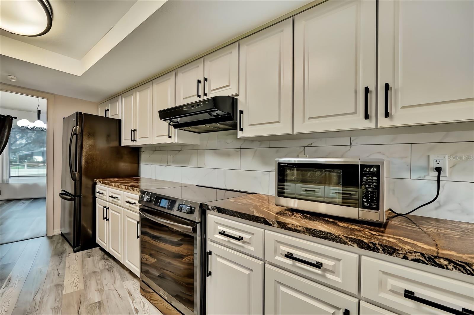 10200 SWANSON CT, SPRING HILL, FL, 34608