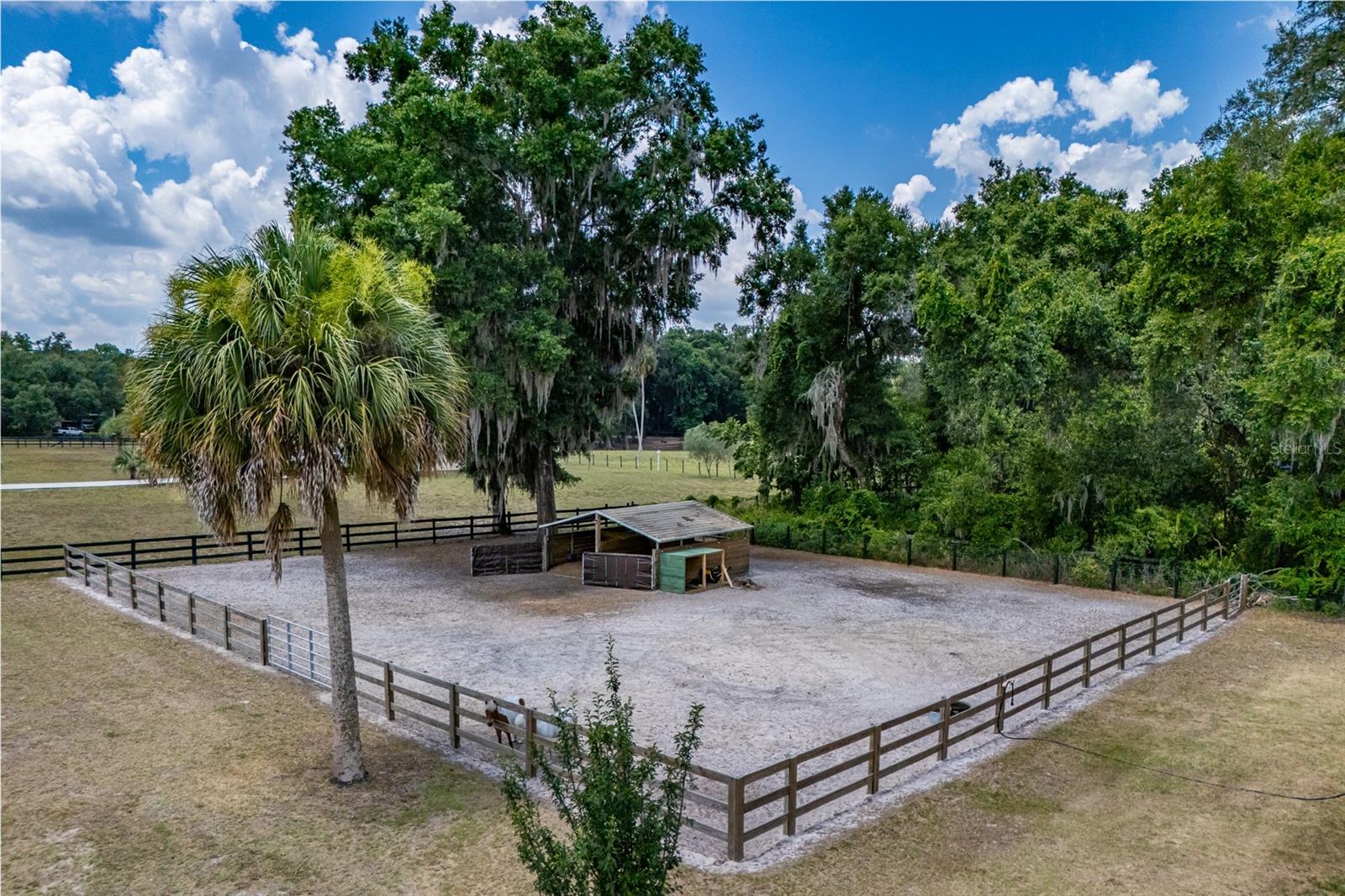 13300 NE 38TH AVE, ANTHONY, FL, 32617