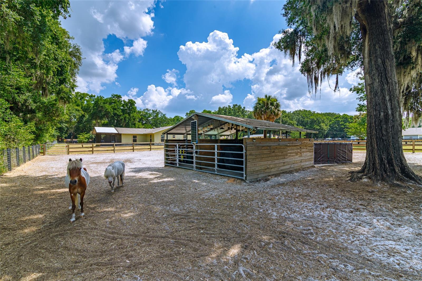 13300 NE 38TH AVE, ANTHONY, FL, 32617